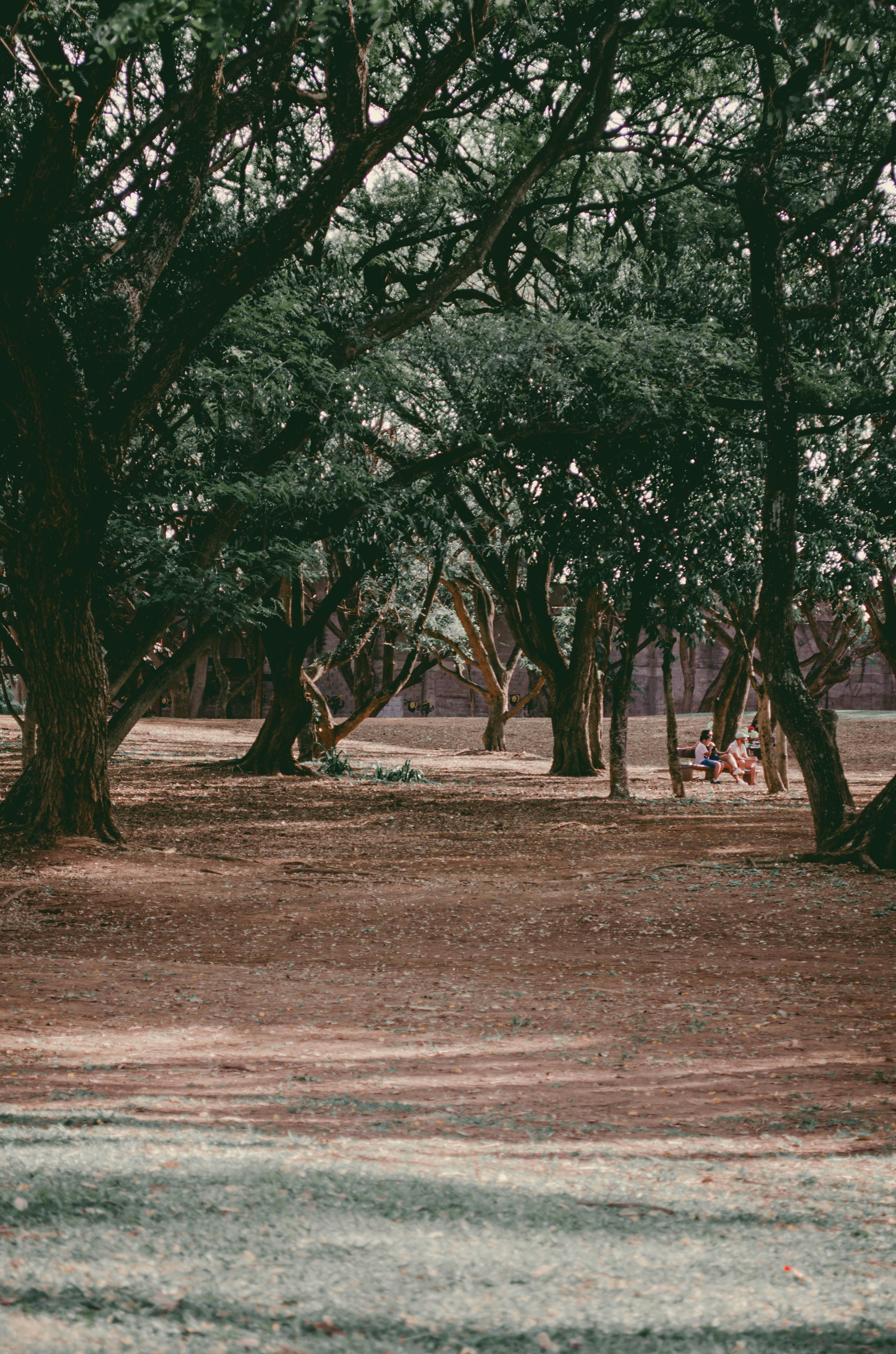 Photo by theuusoonartistic