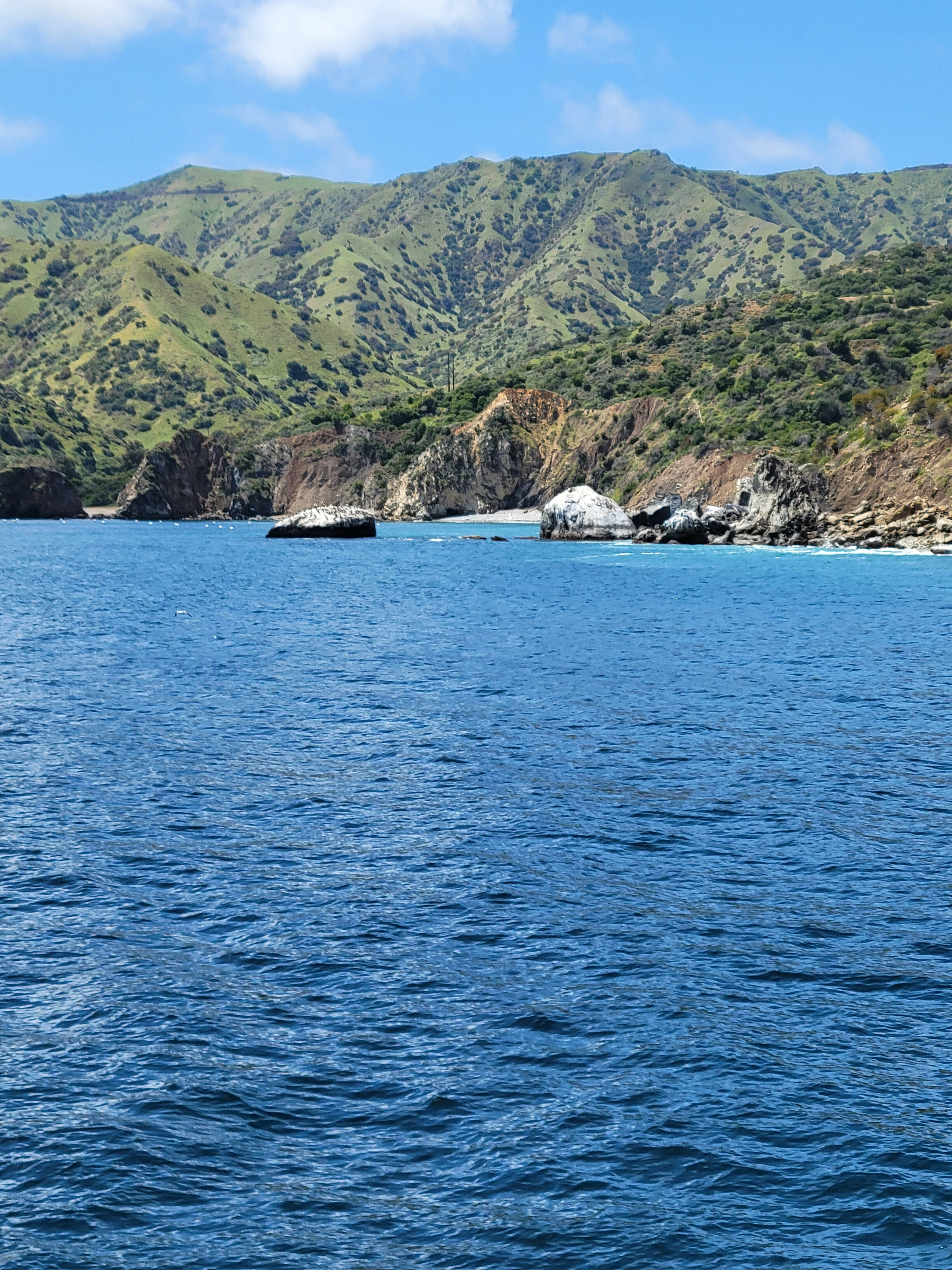 Photo by haripriya_k