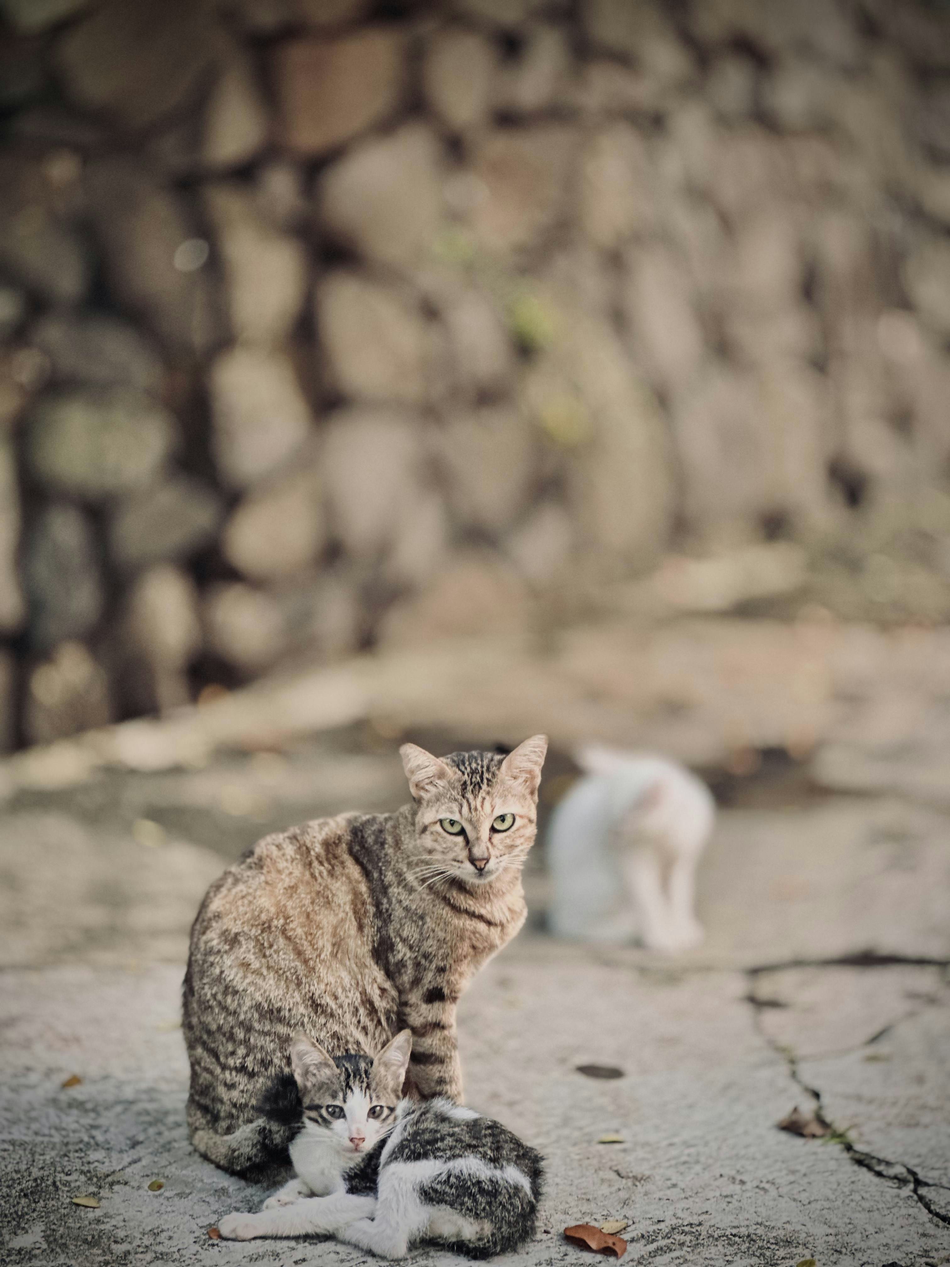 Photo by espresso101