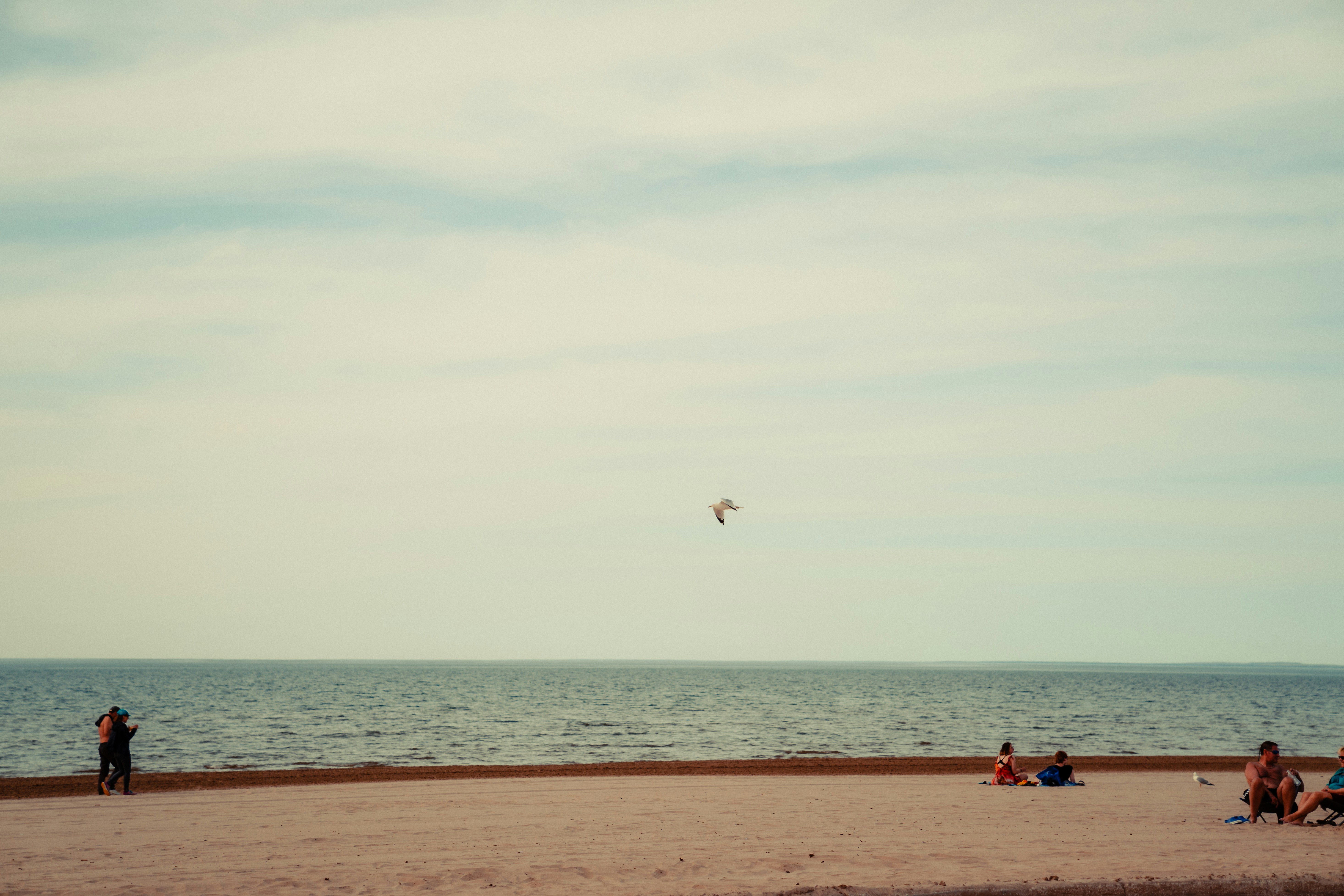 Photo by hardeepjpg