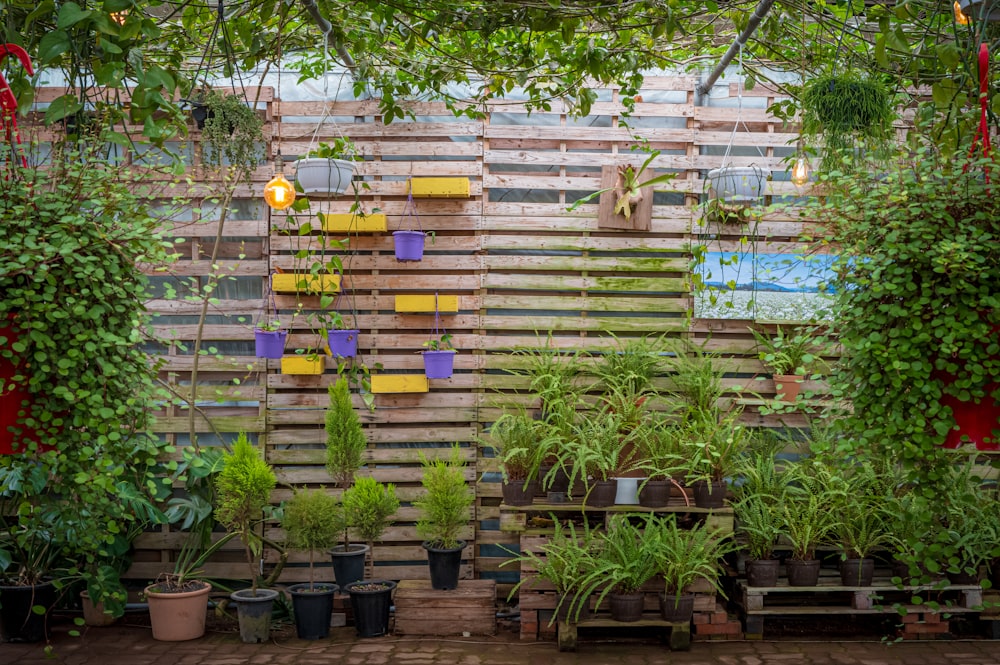 a group of potted plants sitting on top of a wooden fence