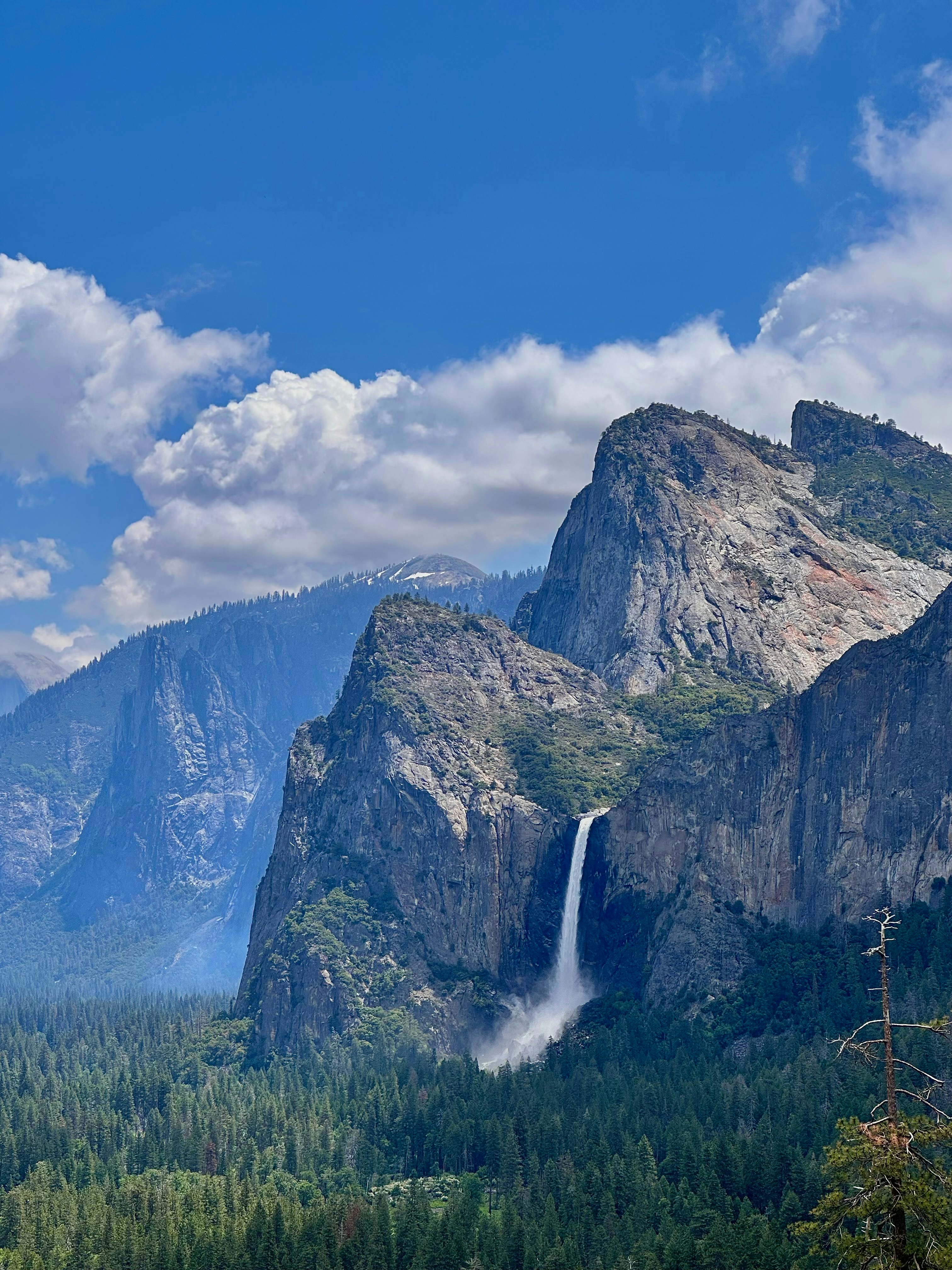 Photo by amoebacrimescene