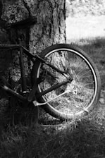une photo en noir et blanc de l'arrière d'un vélo posé contre le tronc d'un arbre