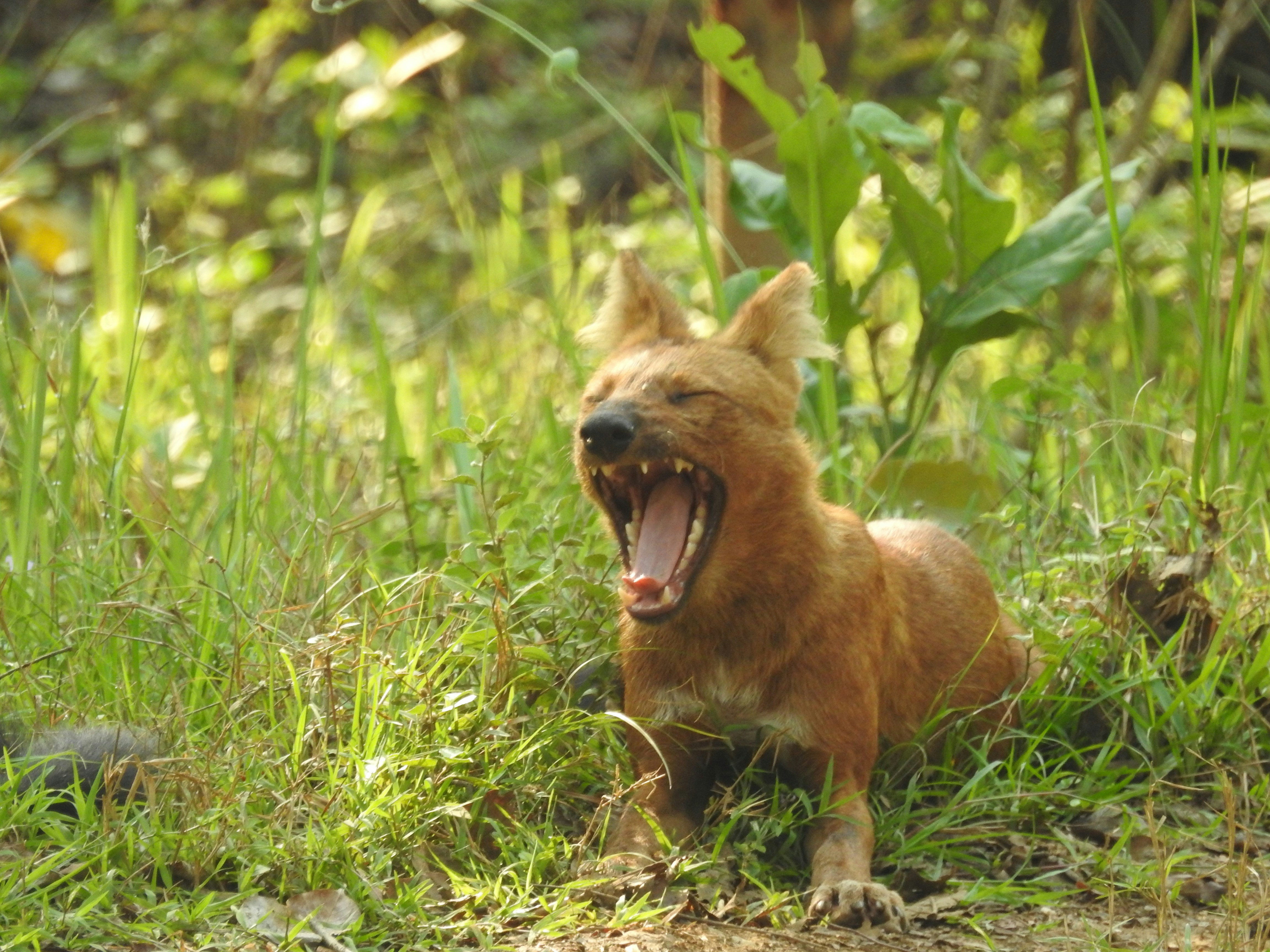 Photo by trishitdedhia