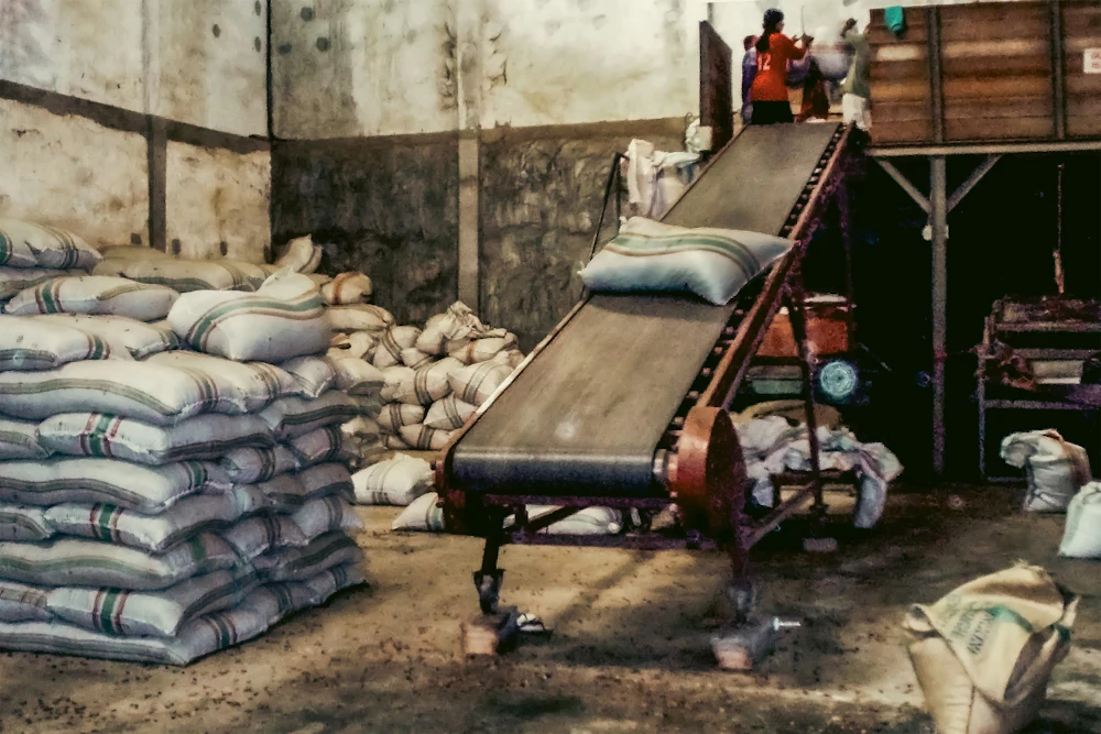 Filled fertilizer sacks moving along a conveyor inside a packing unit