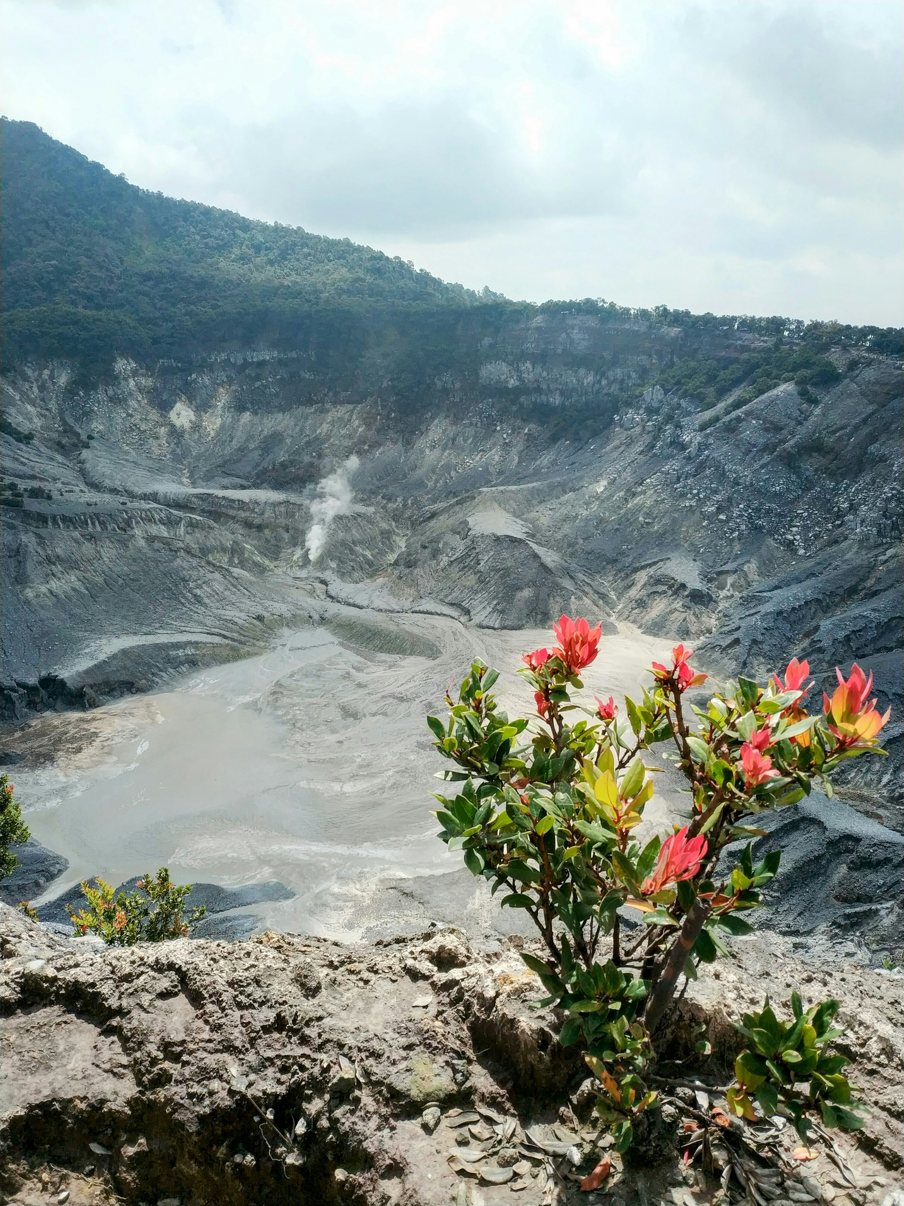 Indonesia Natural Resources Revenue
