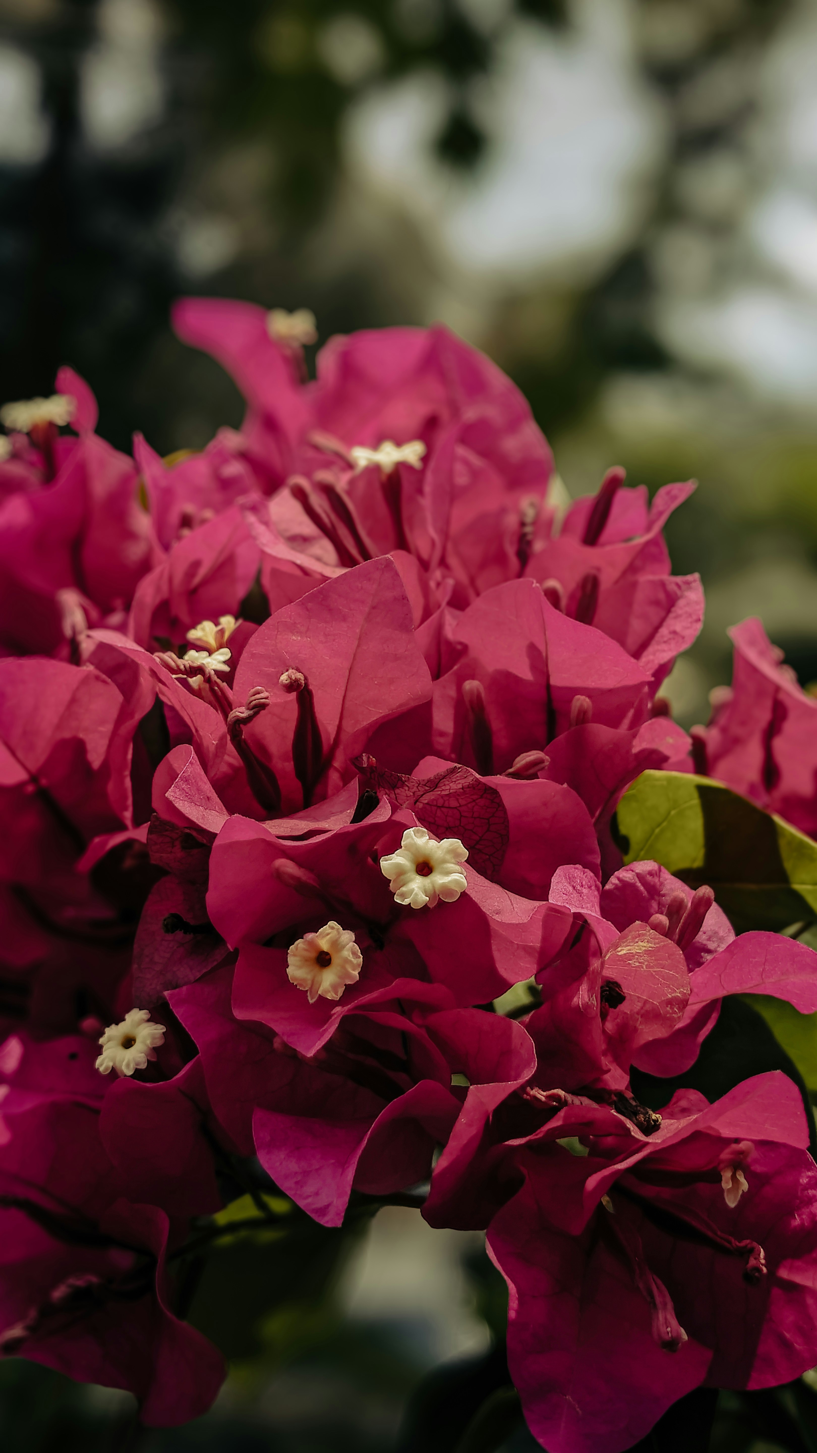 Photo by gopinath12