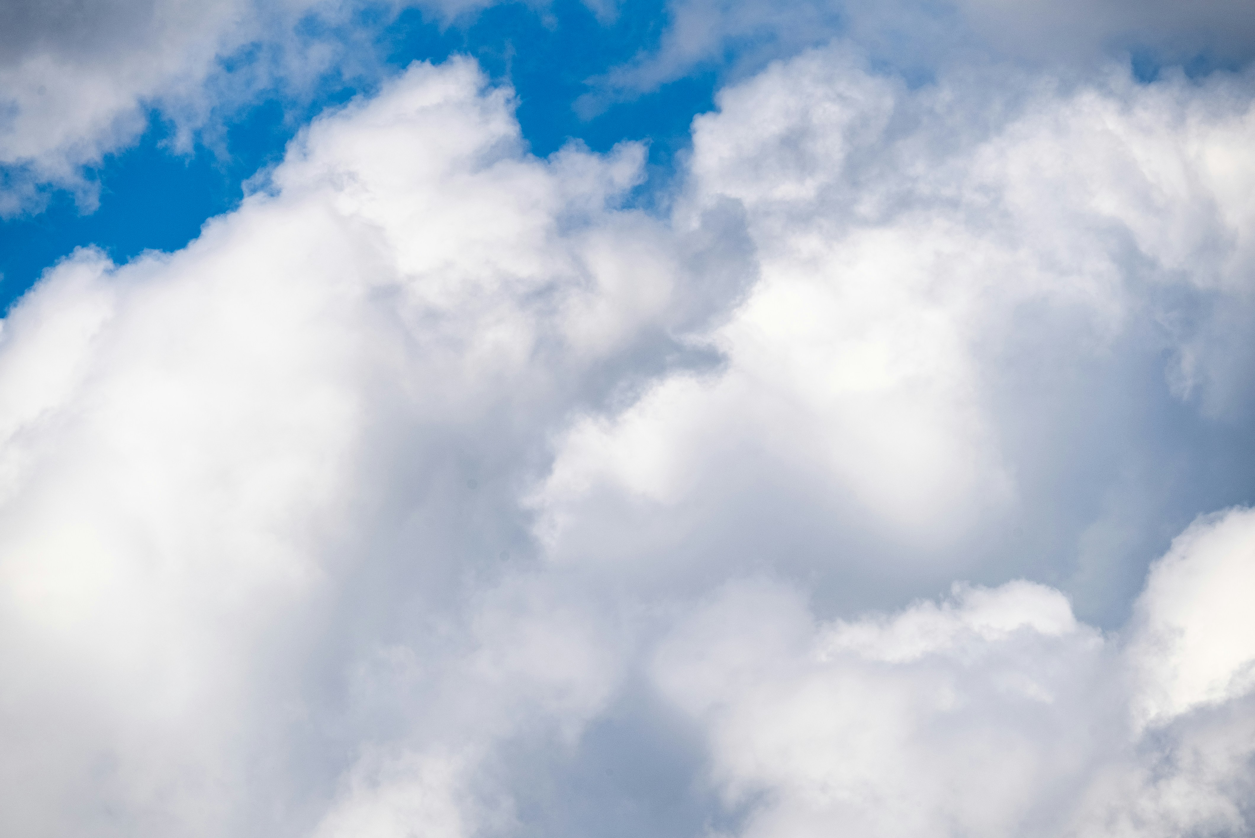 Photo by omarvellous14