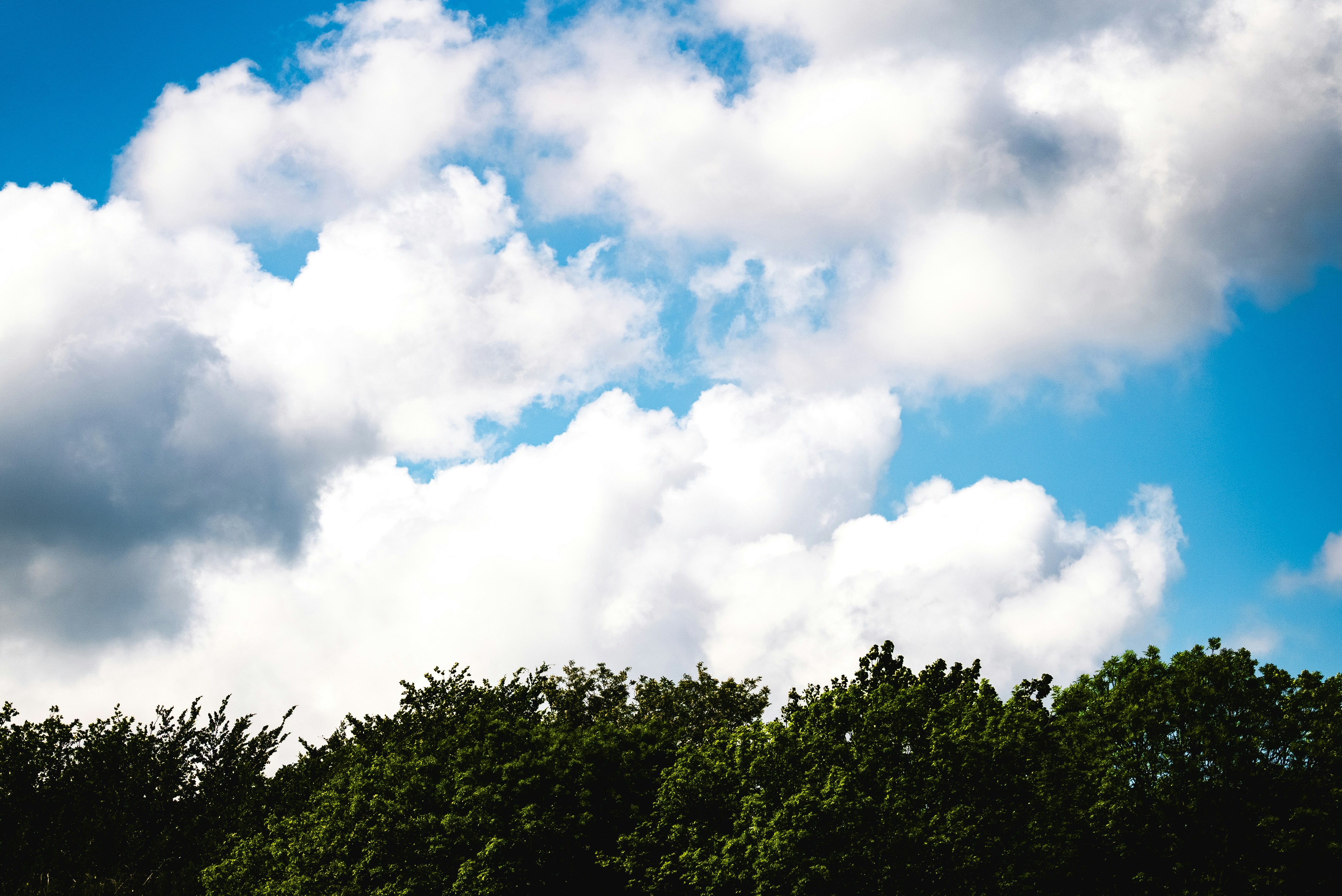 Photo by omarvellous14