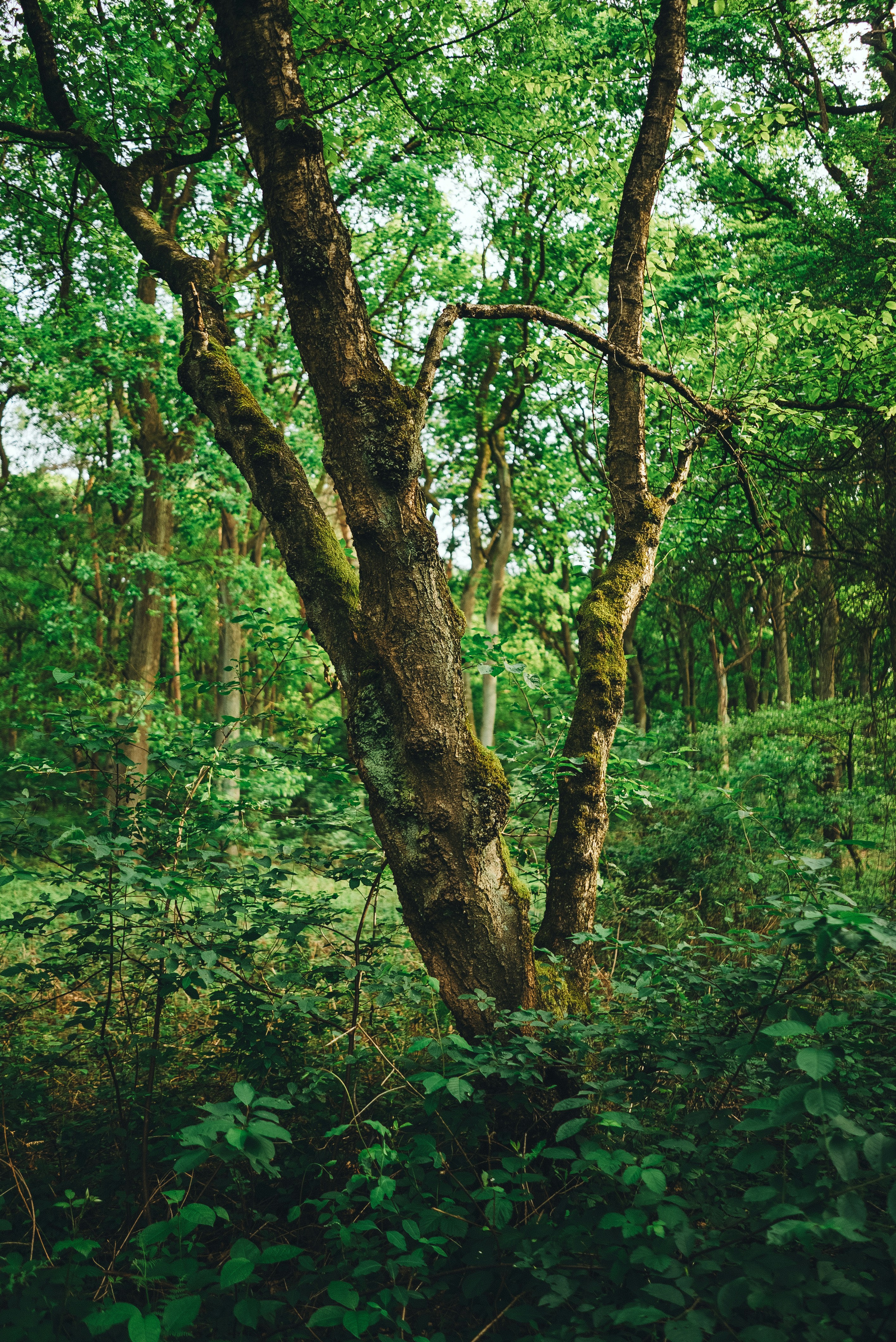 Photo by omarvellous14