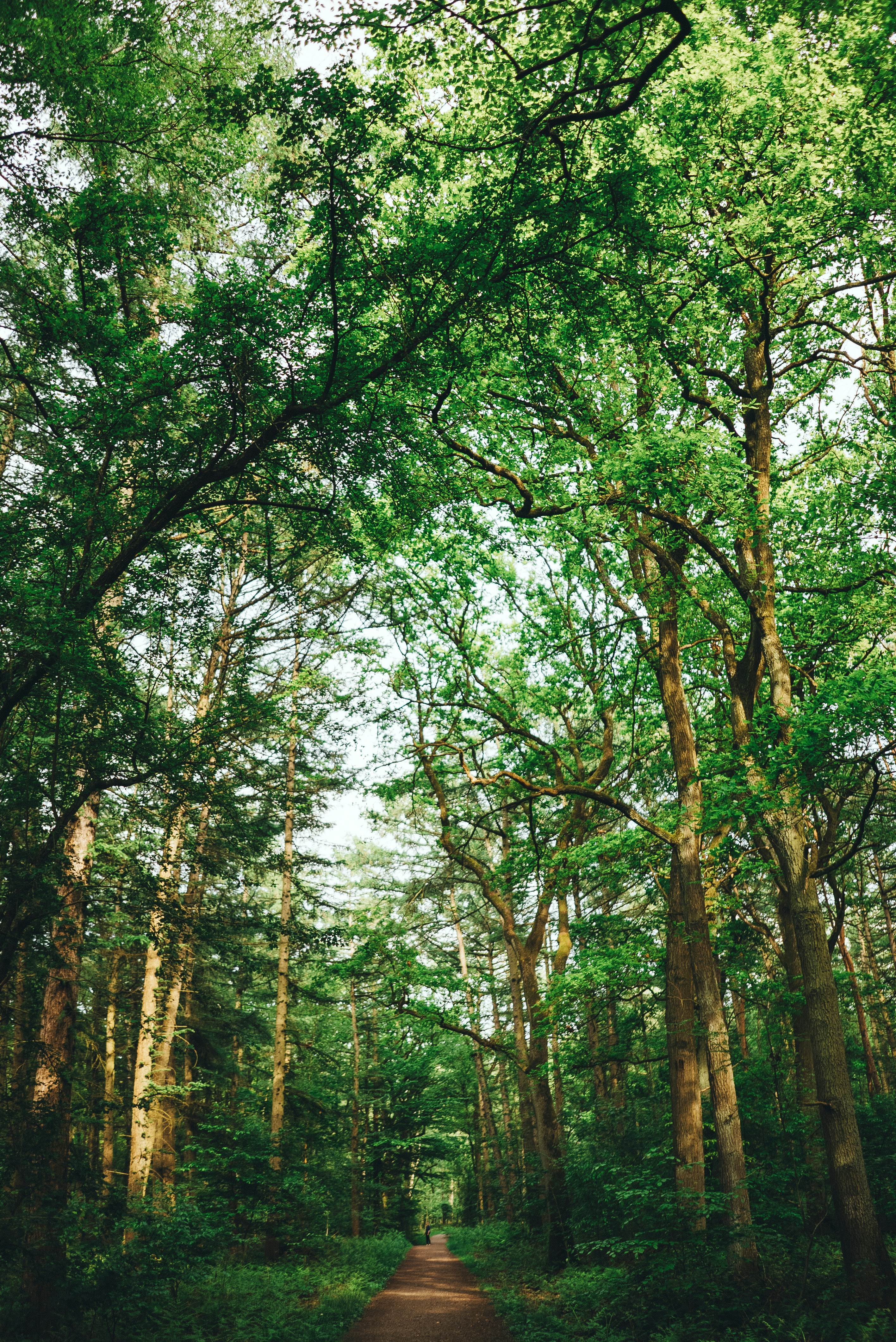 Photo by omarvellous14