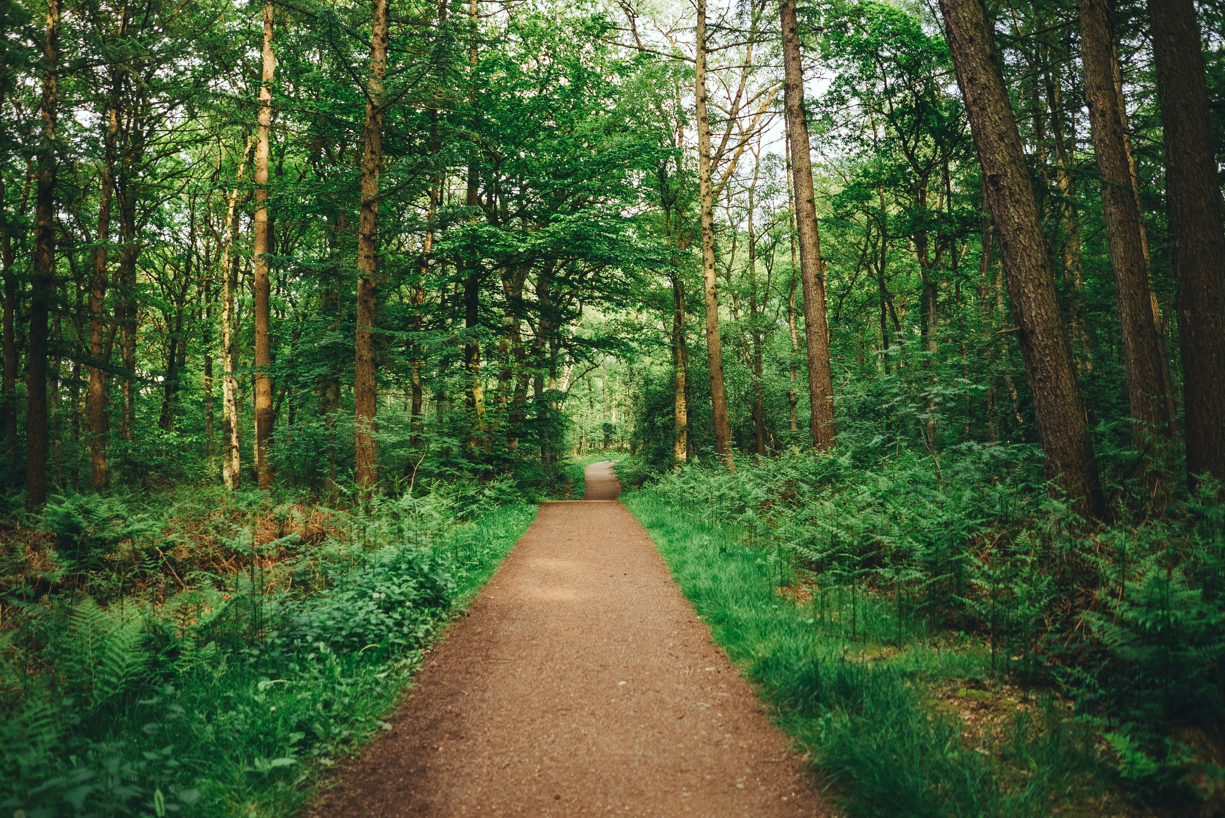 Photo by omarvellous14