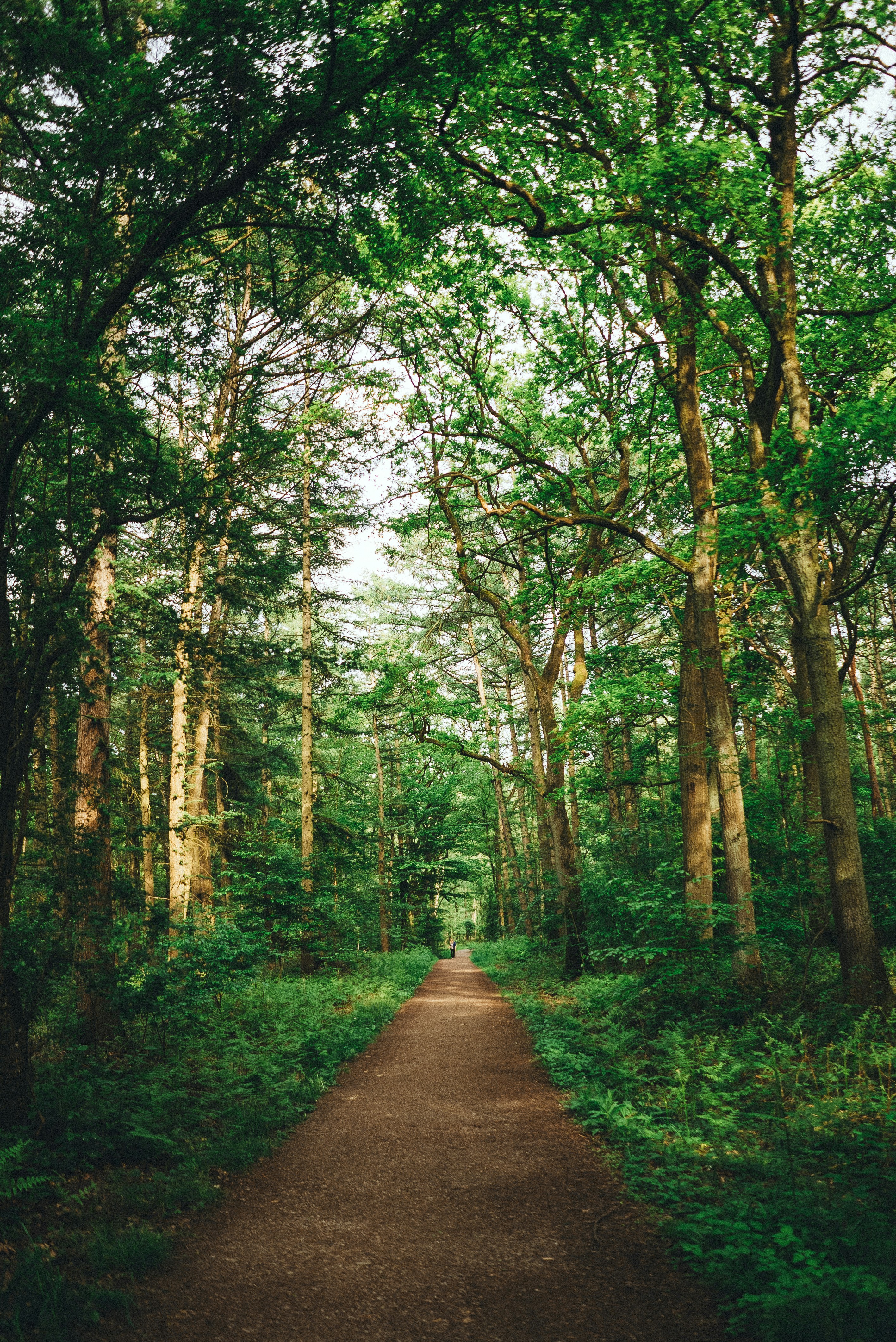 Photo by omarvellous14