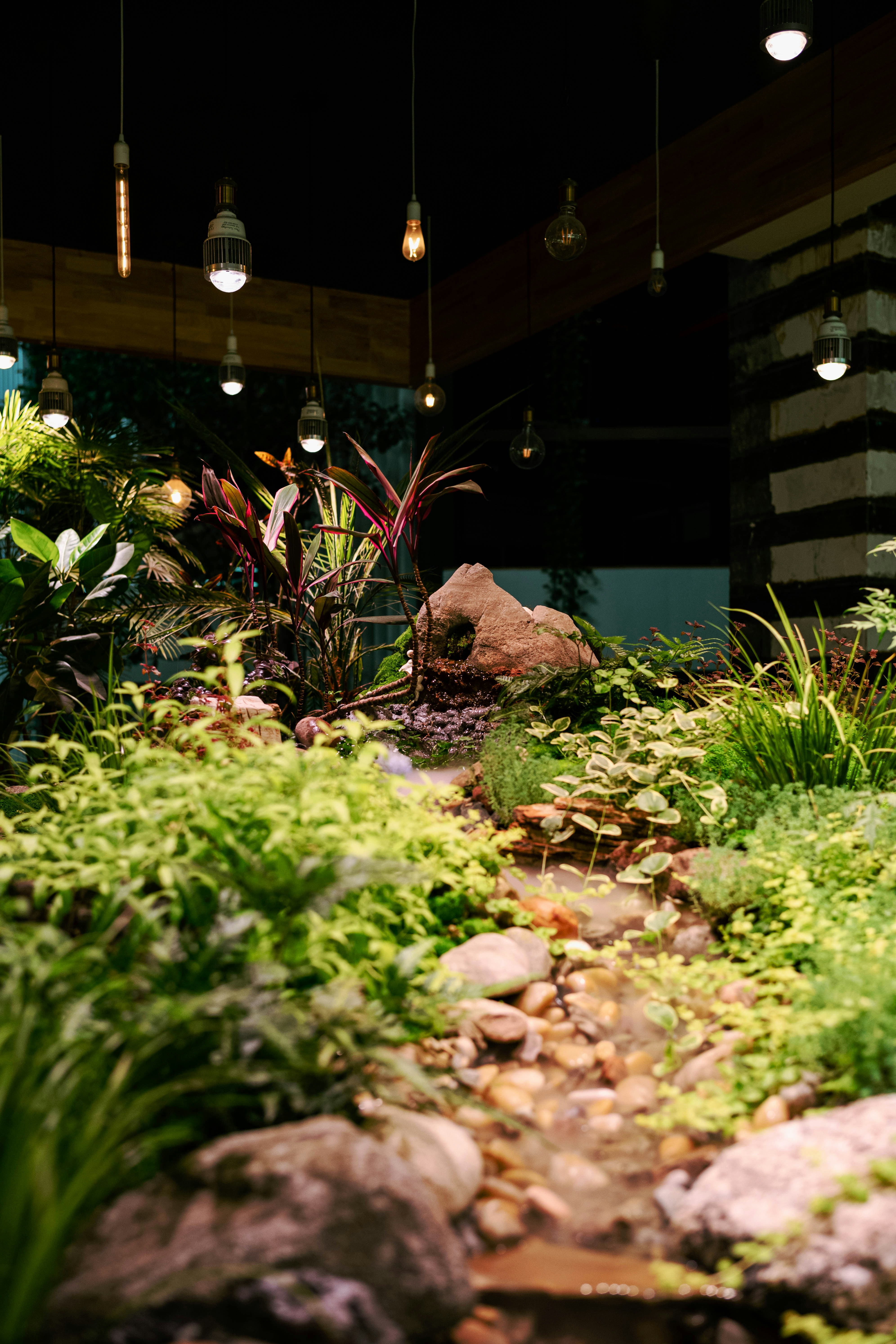 Photo by tommaomaoer