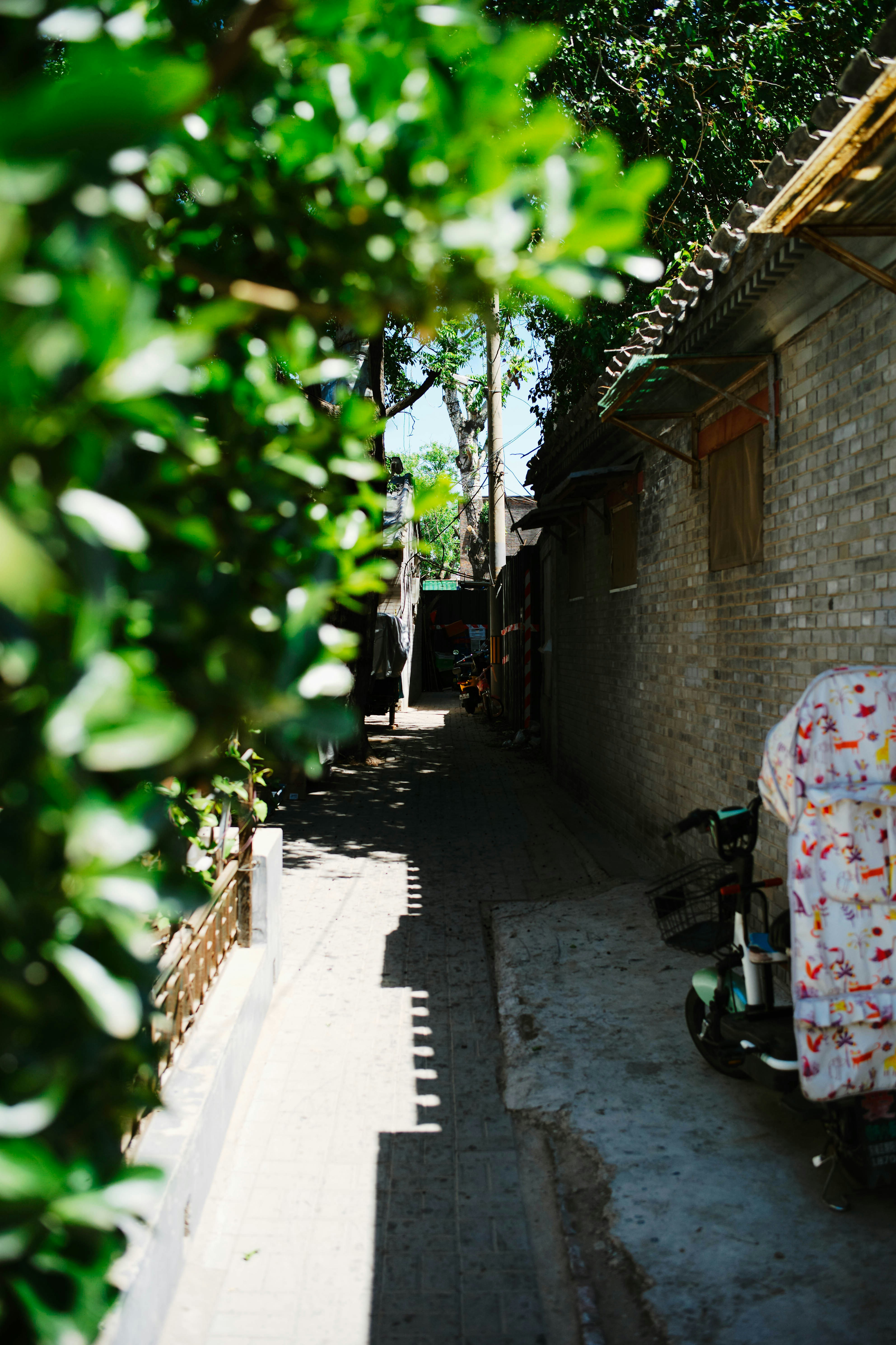 Photo by tommaomaoer