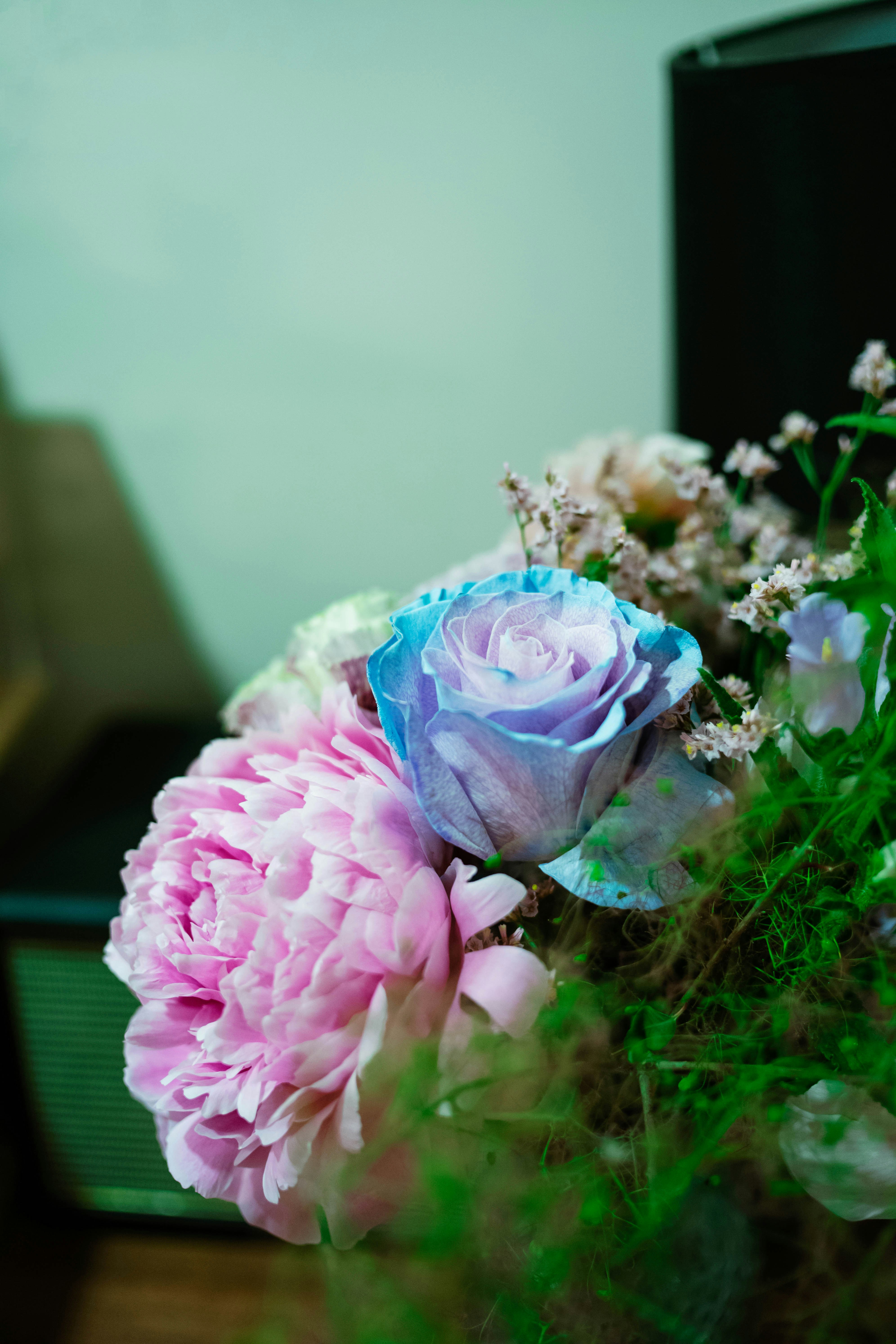 Photo by tommaomaoer