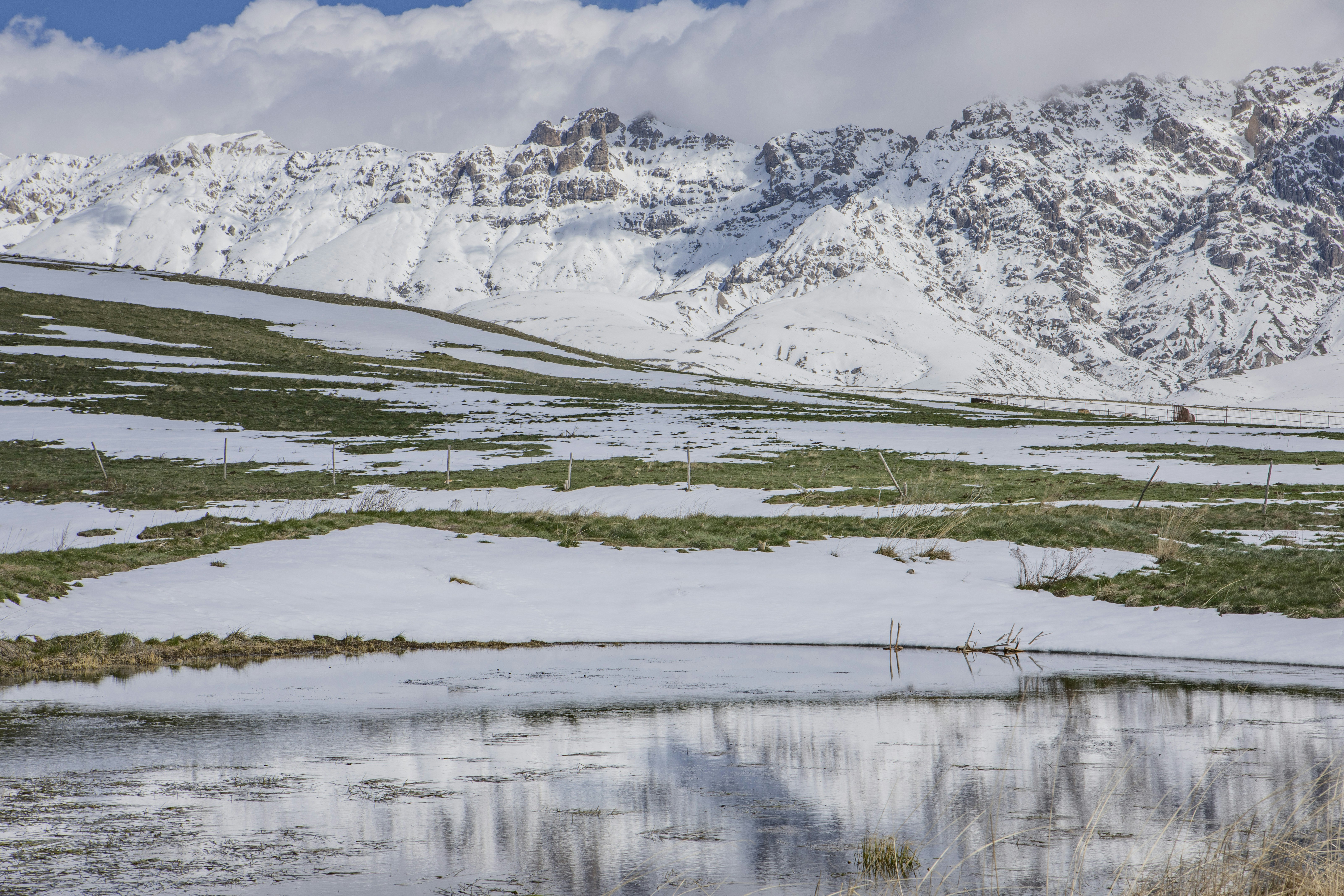 Photo by jddartphotographer