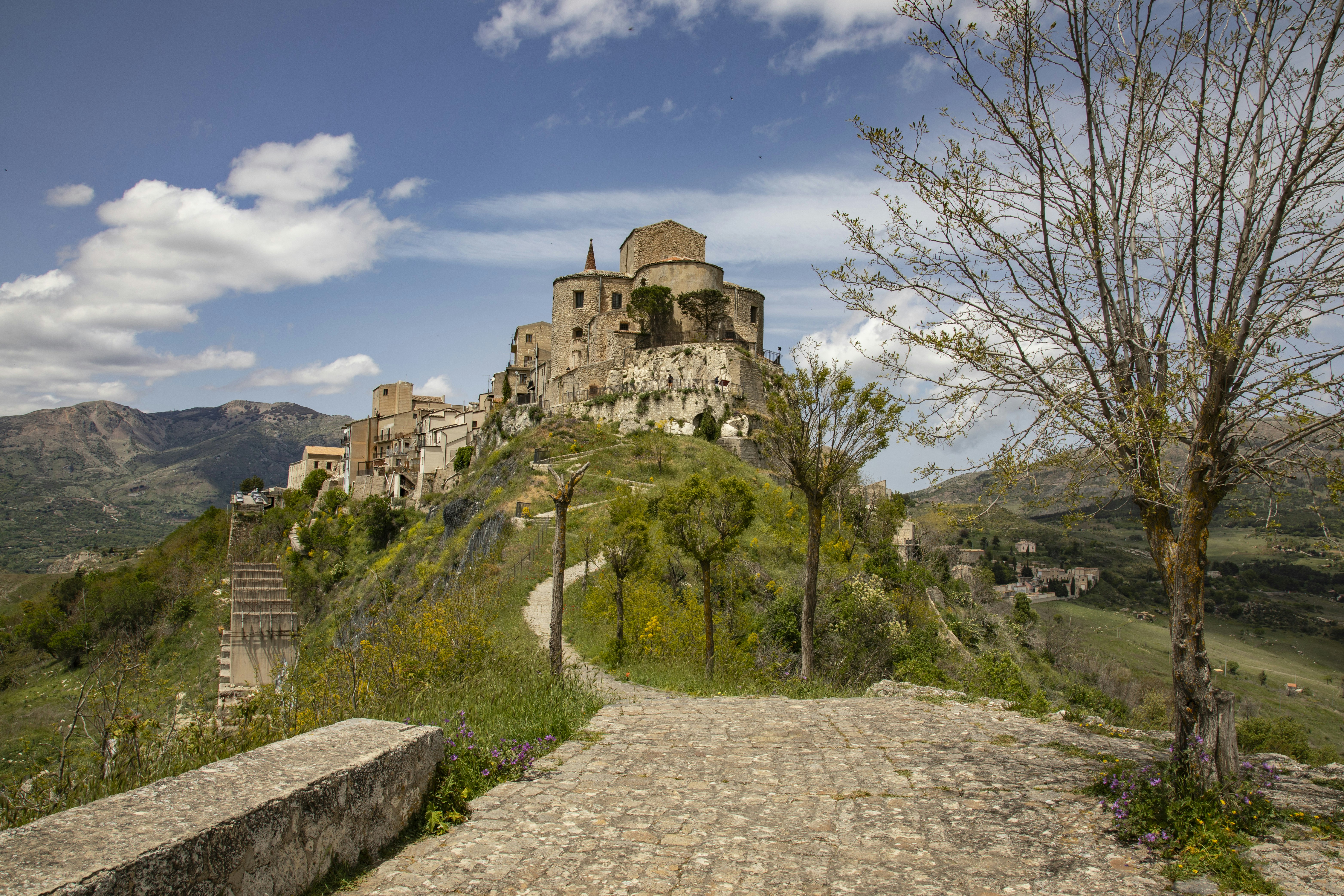 Photo by jddartphotographer