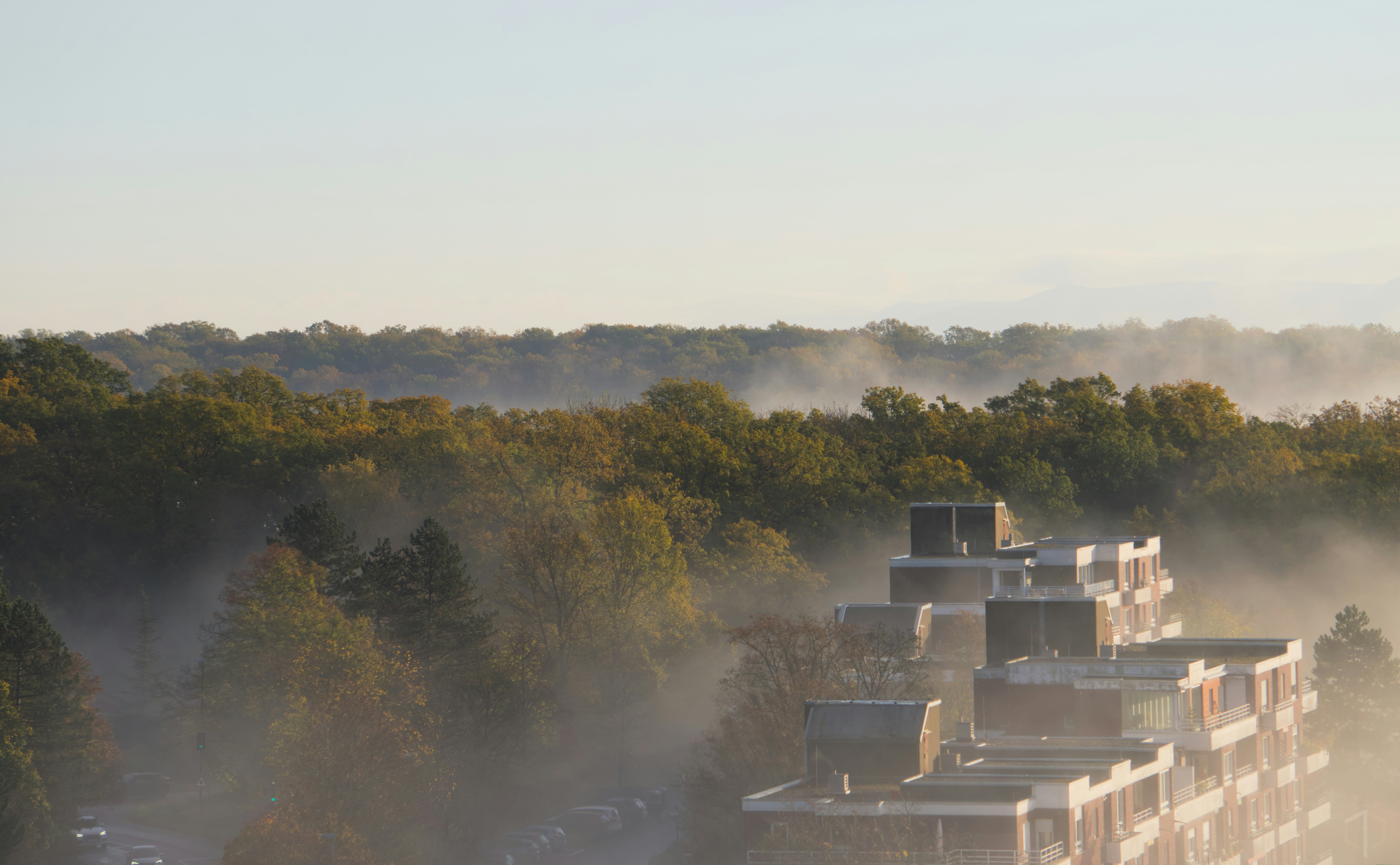 a view of a building in the middle of a forest