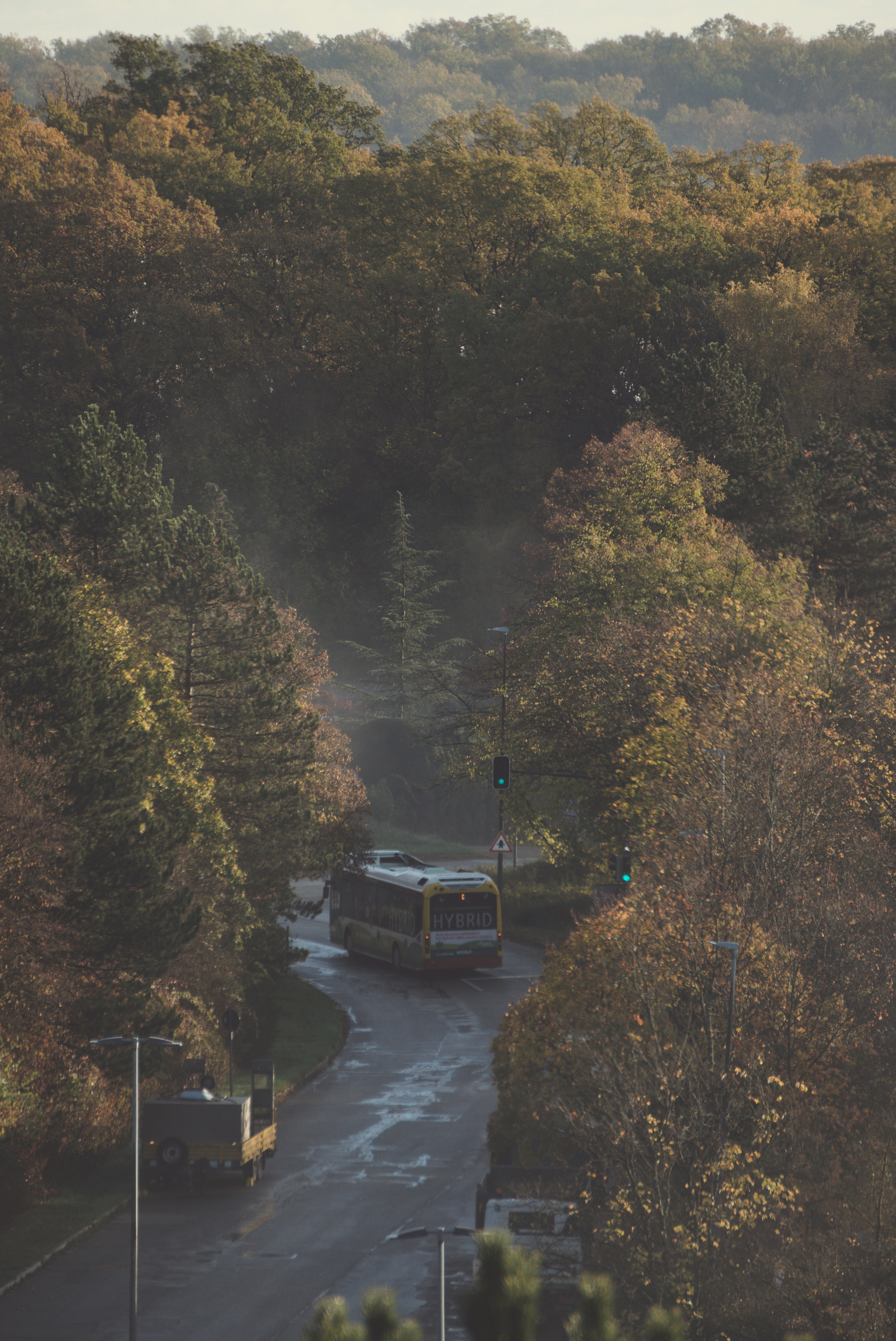 a bus driving down a road surrounded by trees