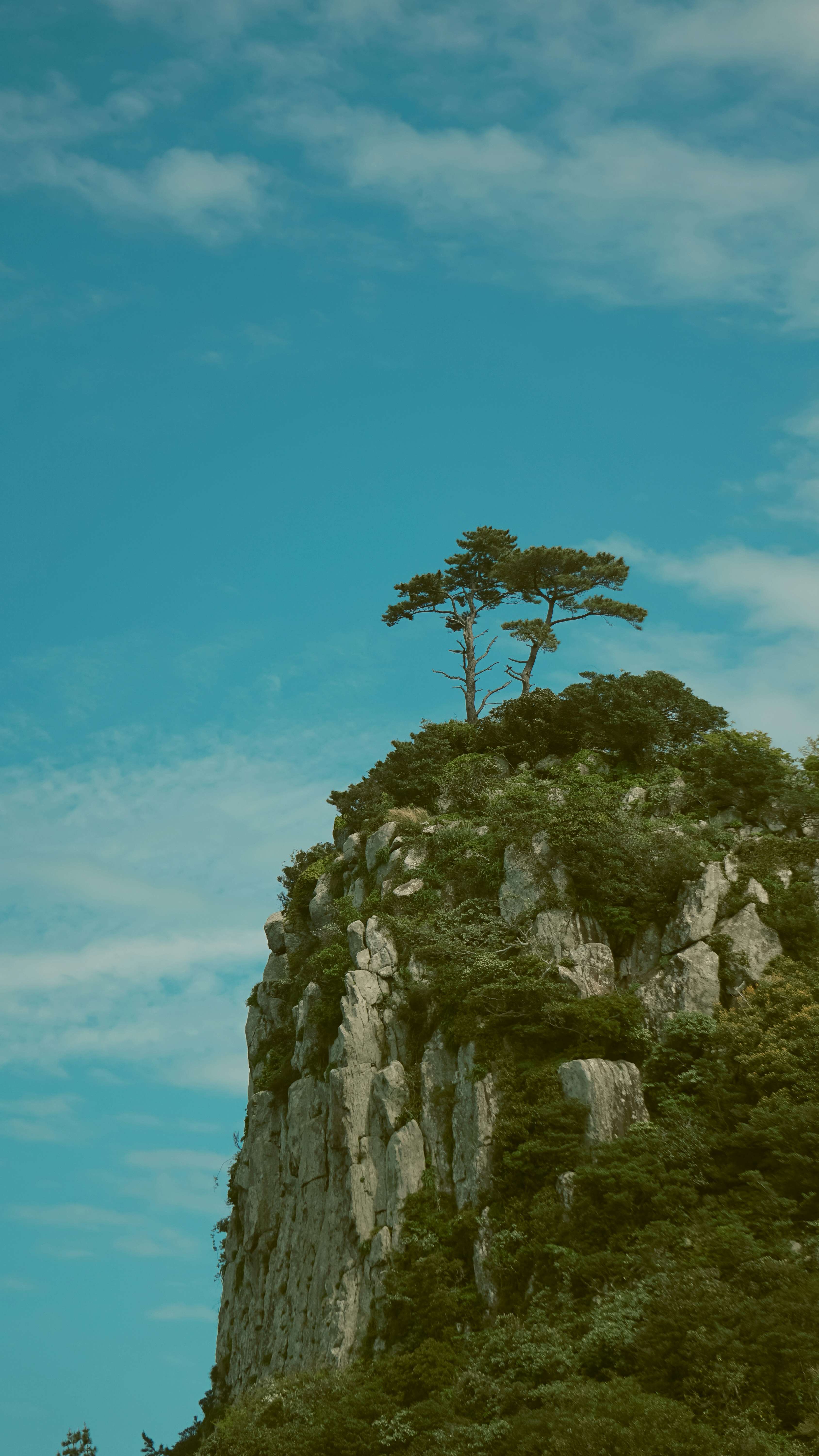 Photo by horseratbros