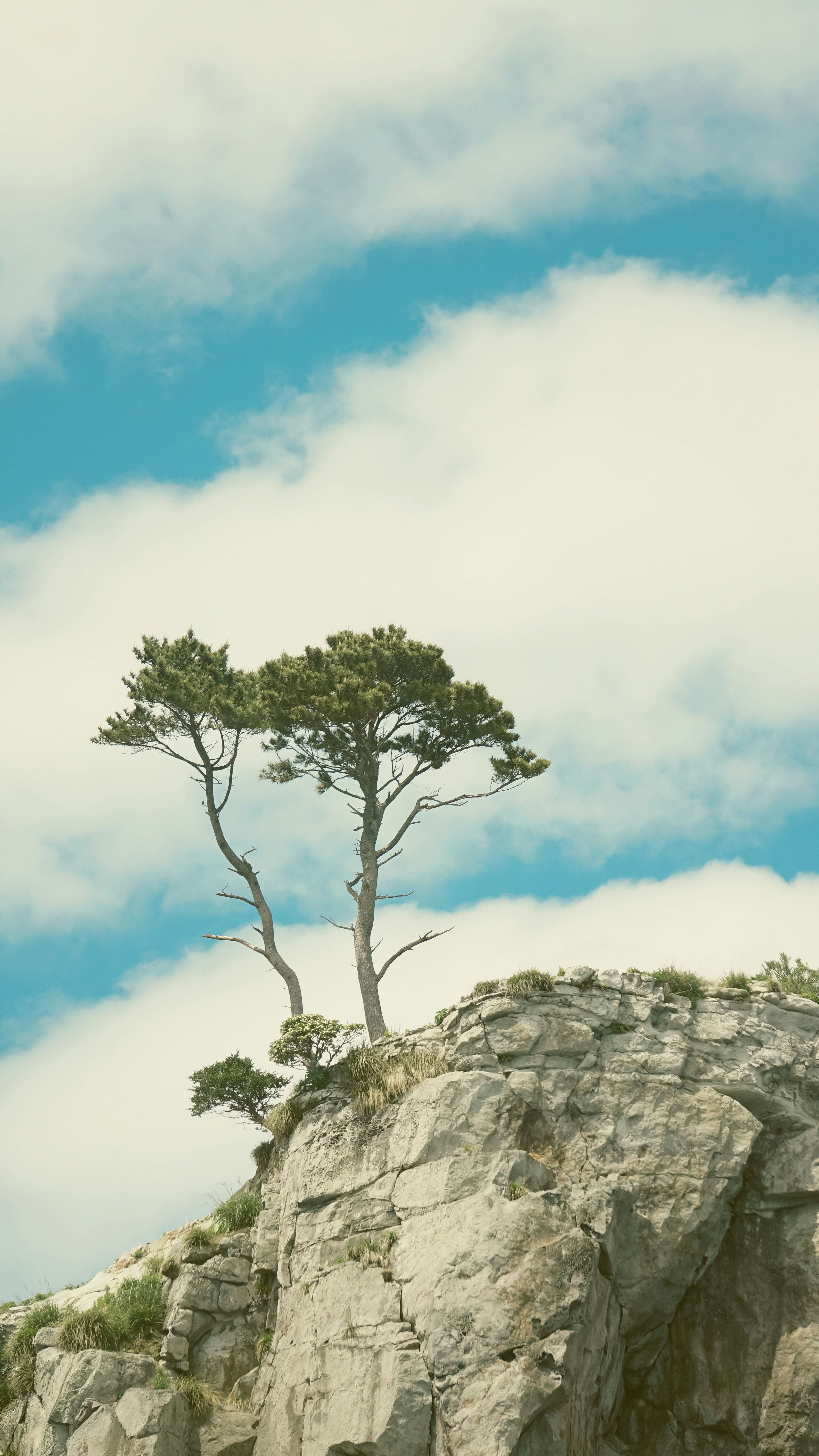 Photo by horseratbros