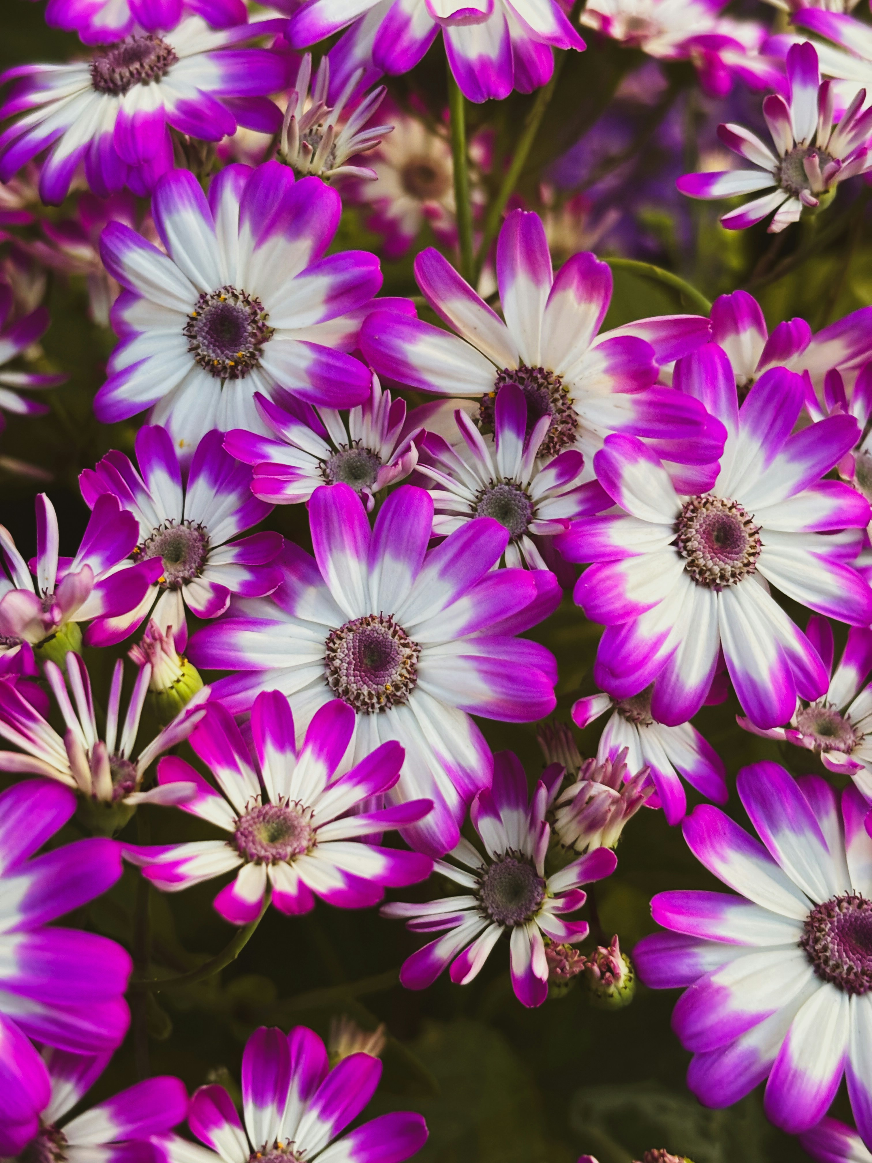 Photo by neil_photography21