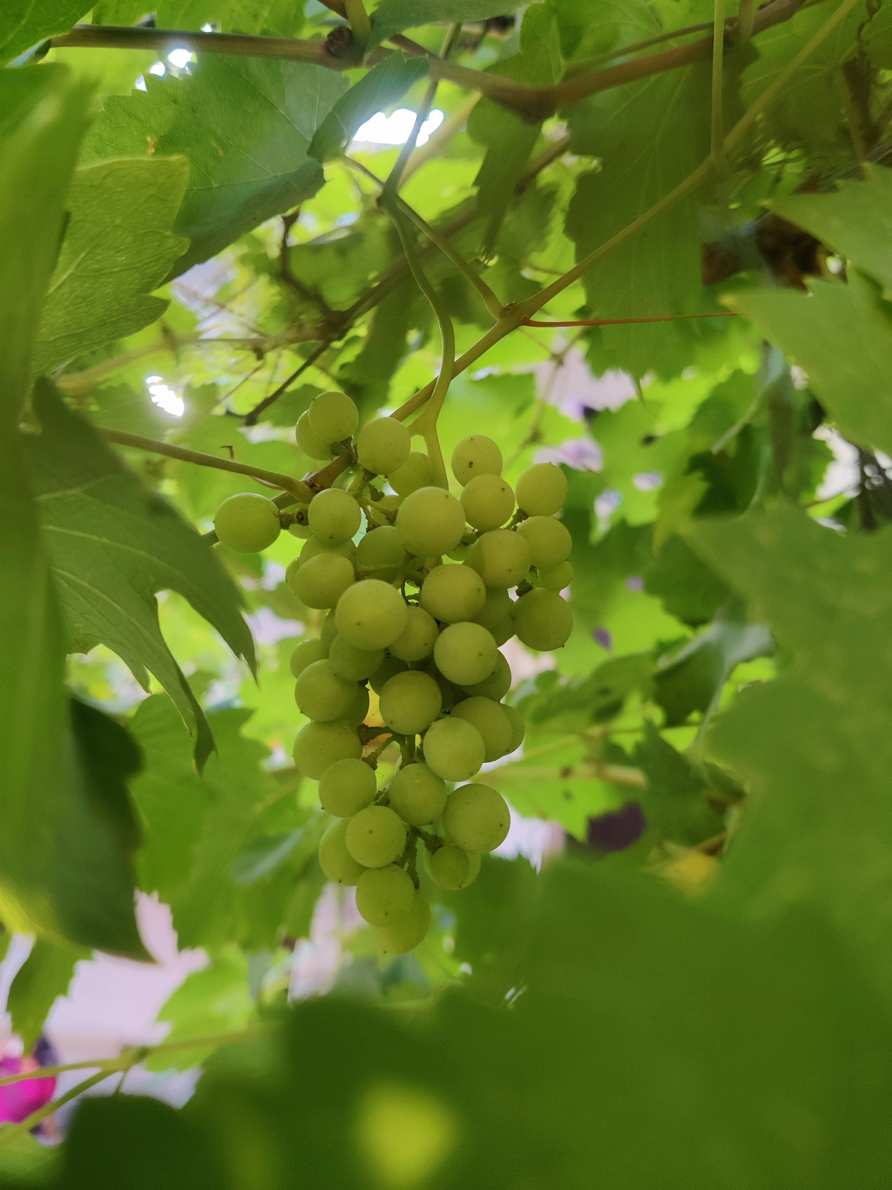 Photo by aayushi_choudhary