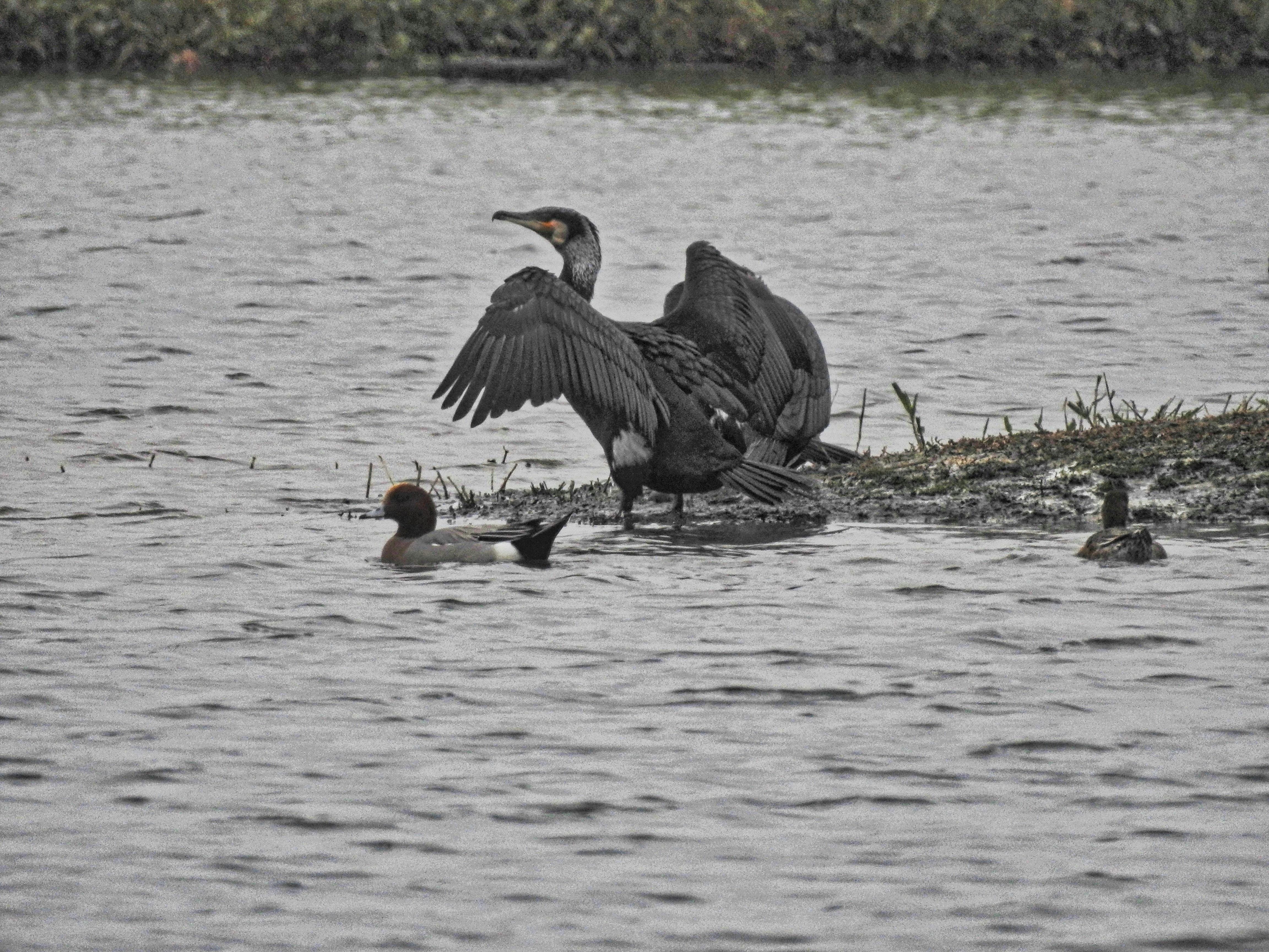 Photo by thomaskinto