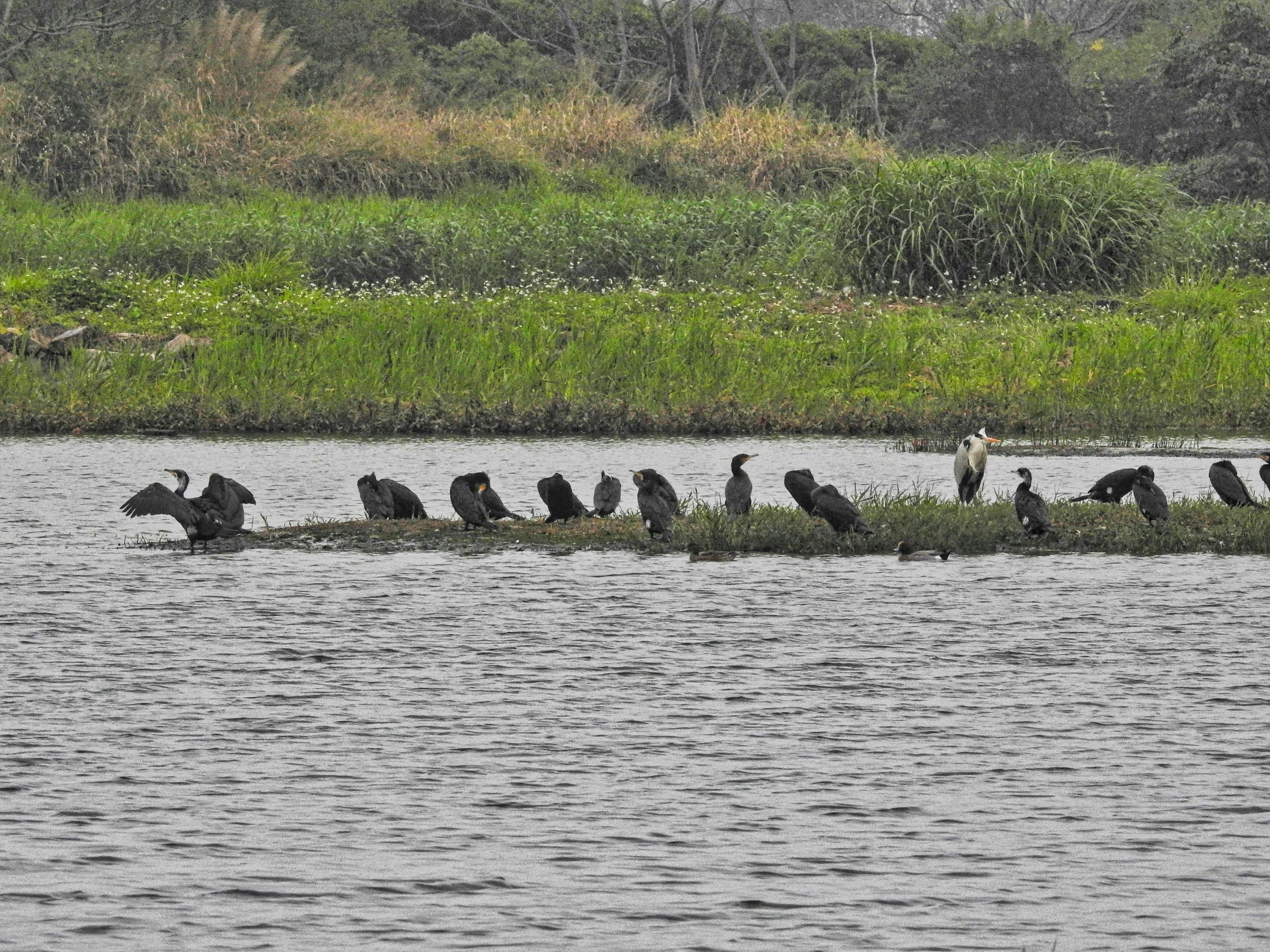 Photo by thomaskinto