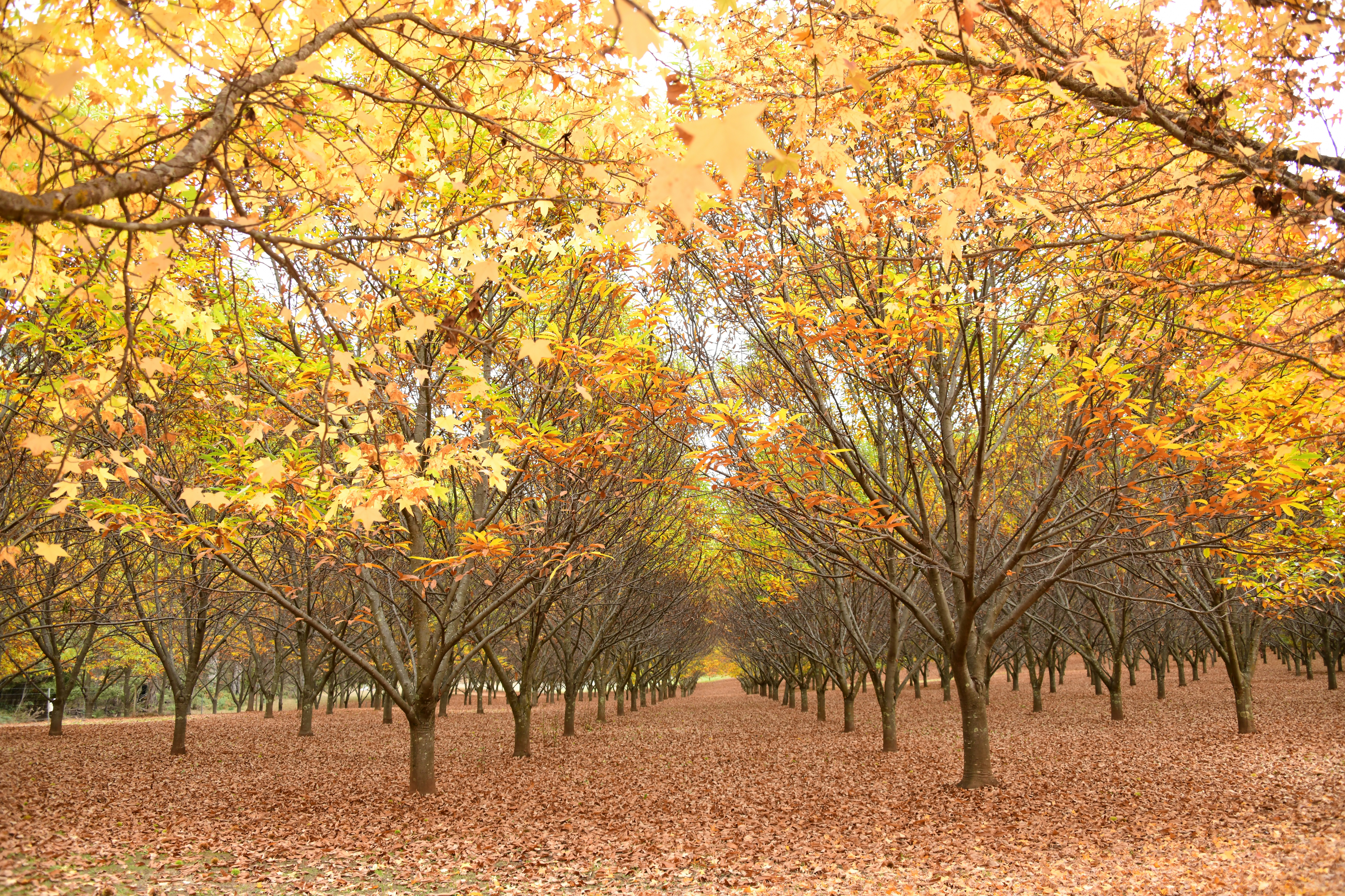 Photo by richard7seals