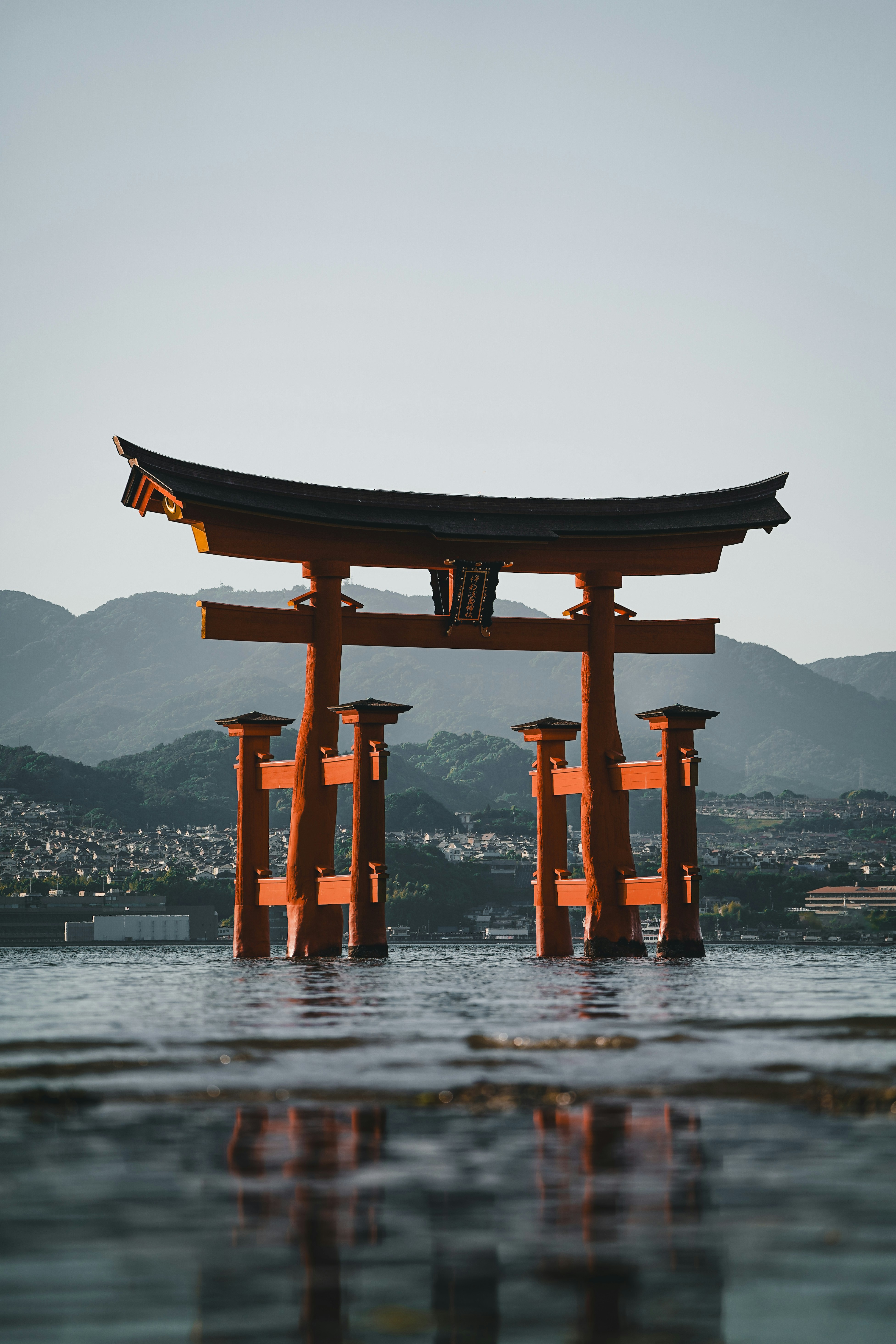 an orange tori tori floating on top of a body of water