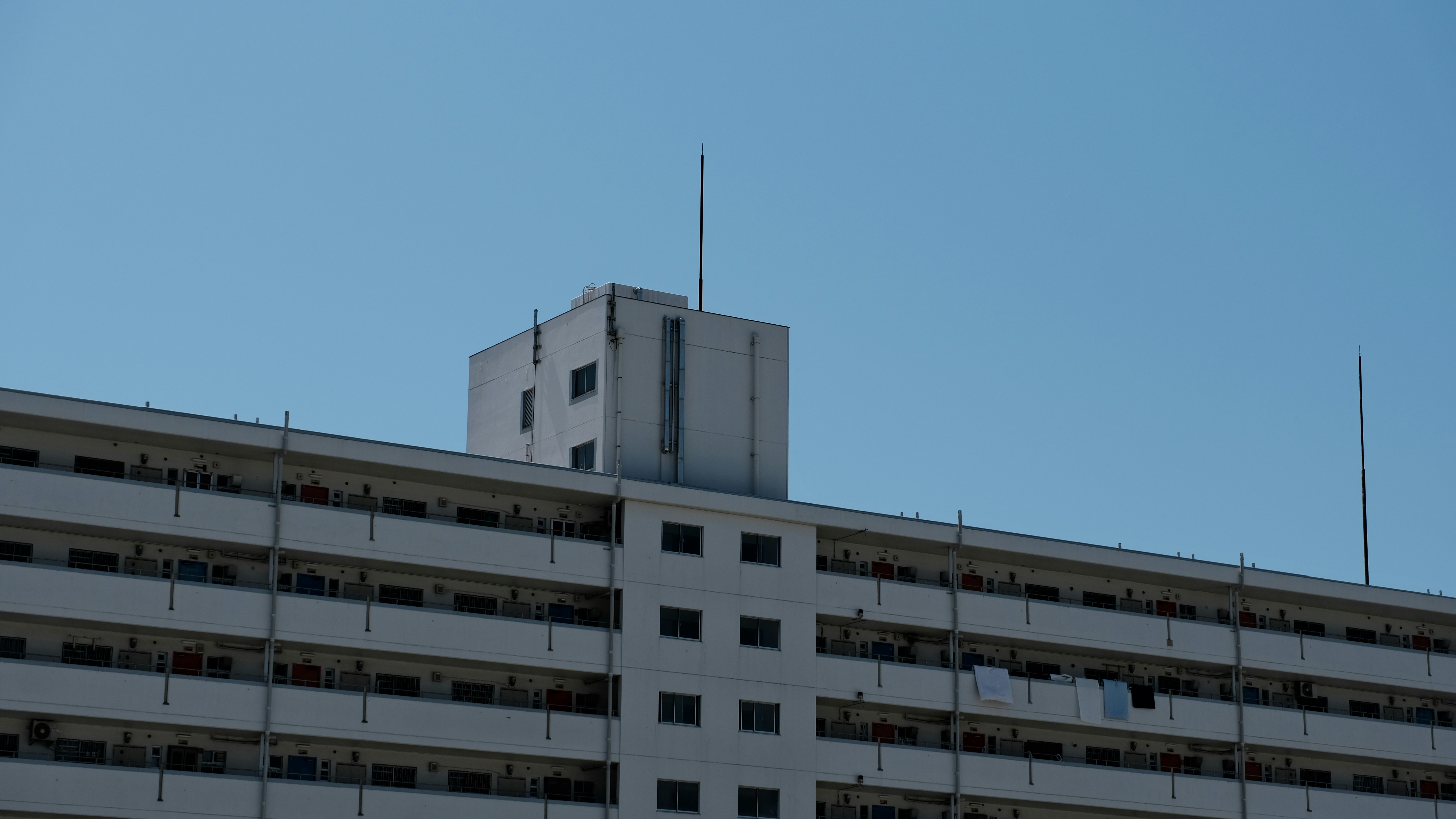 Photo by jogangyeonn