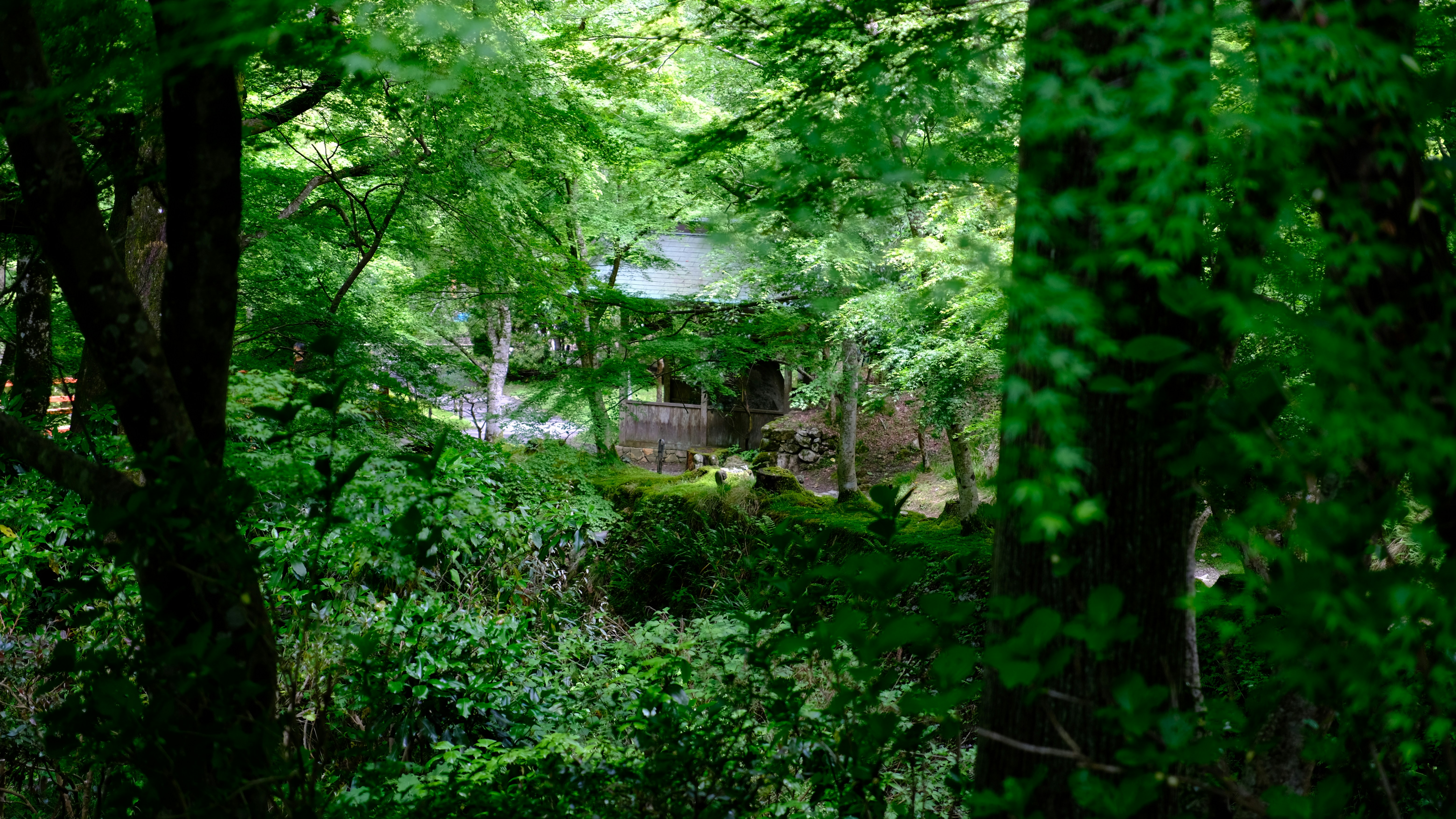 Photo by jogangyeonn