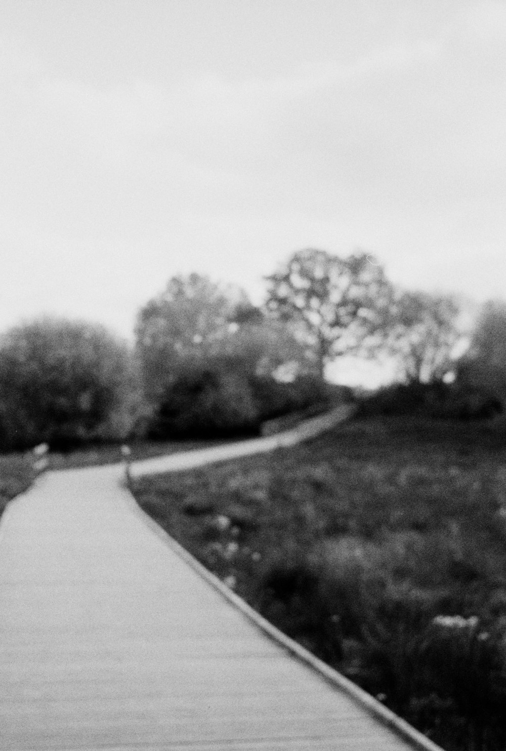 a black and white photo of a path in a park