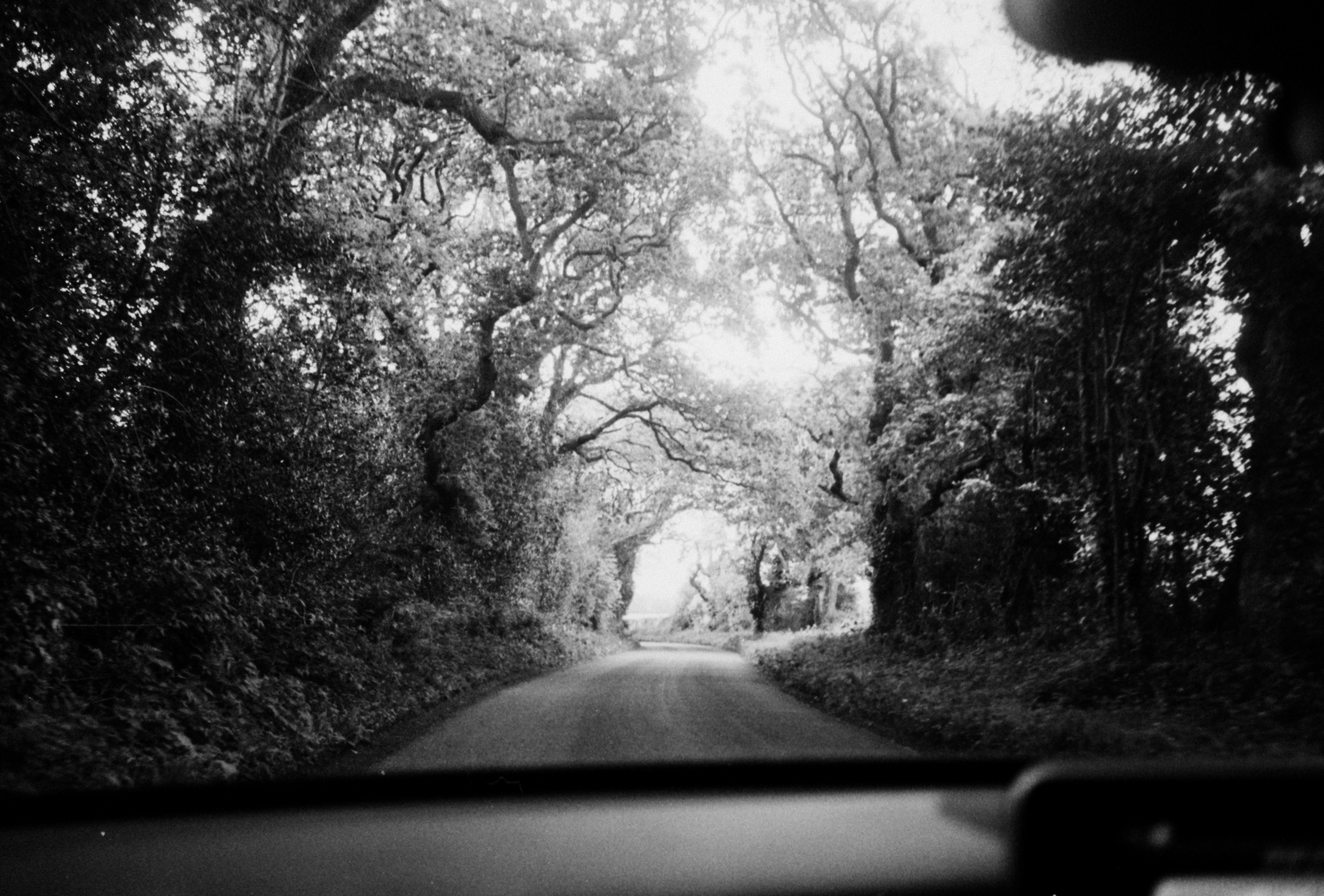 Photo by anniespratt