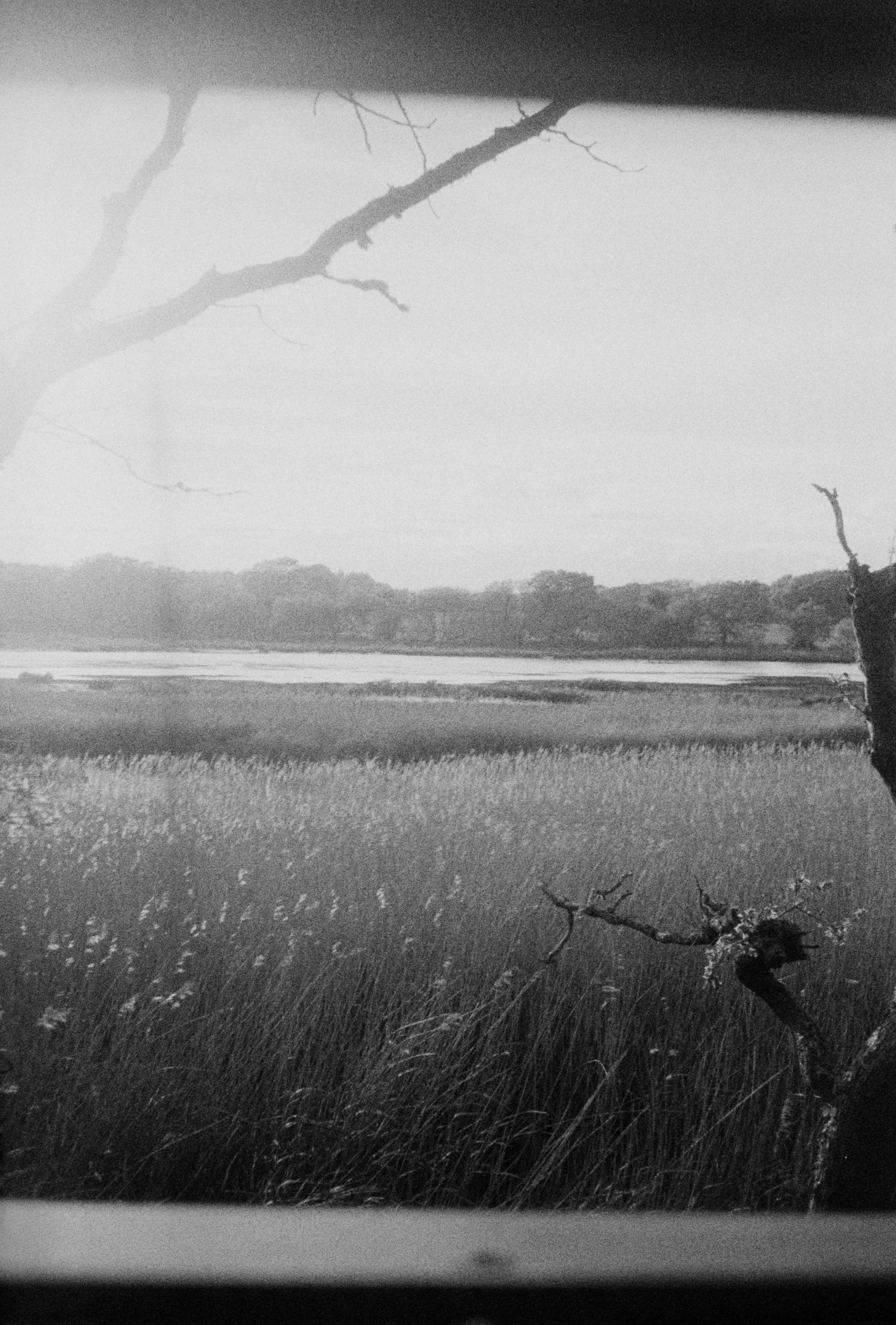 Photo by anniespratt