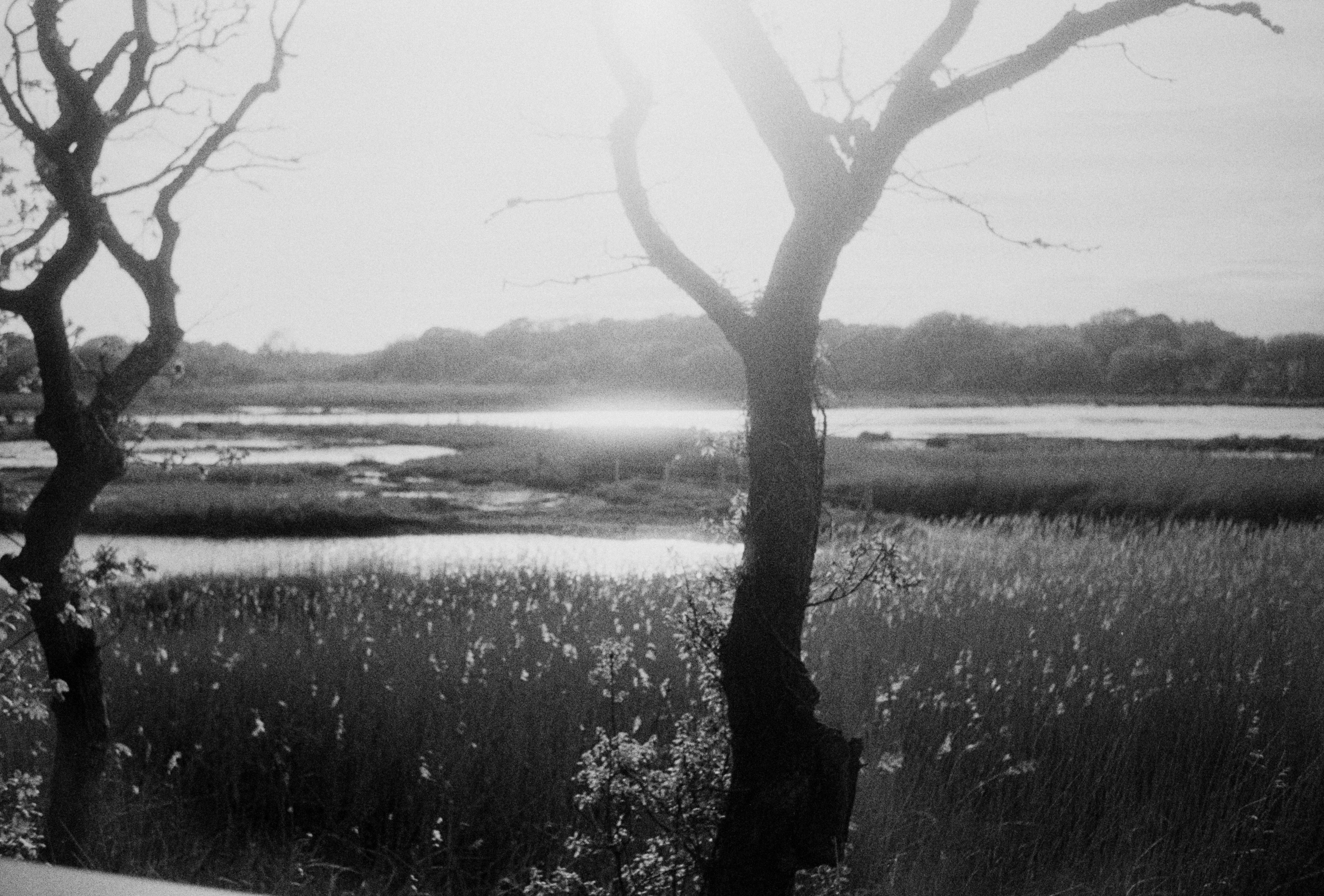 Photo by anniespratt