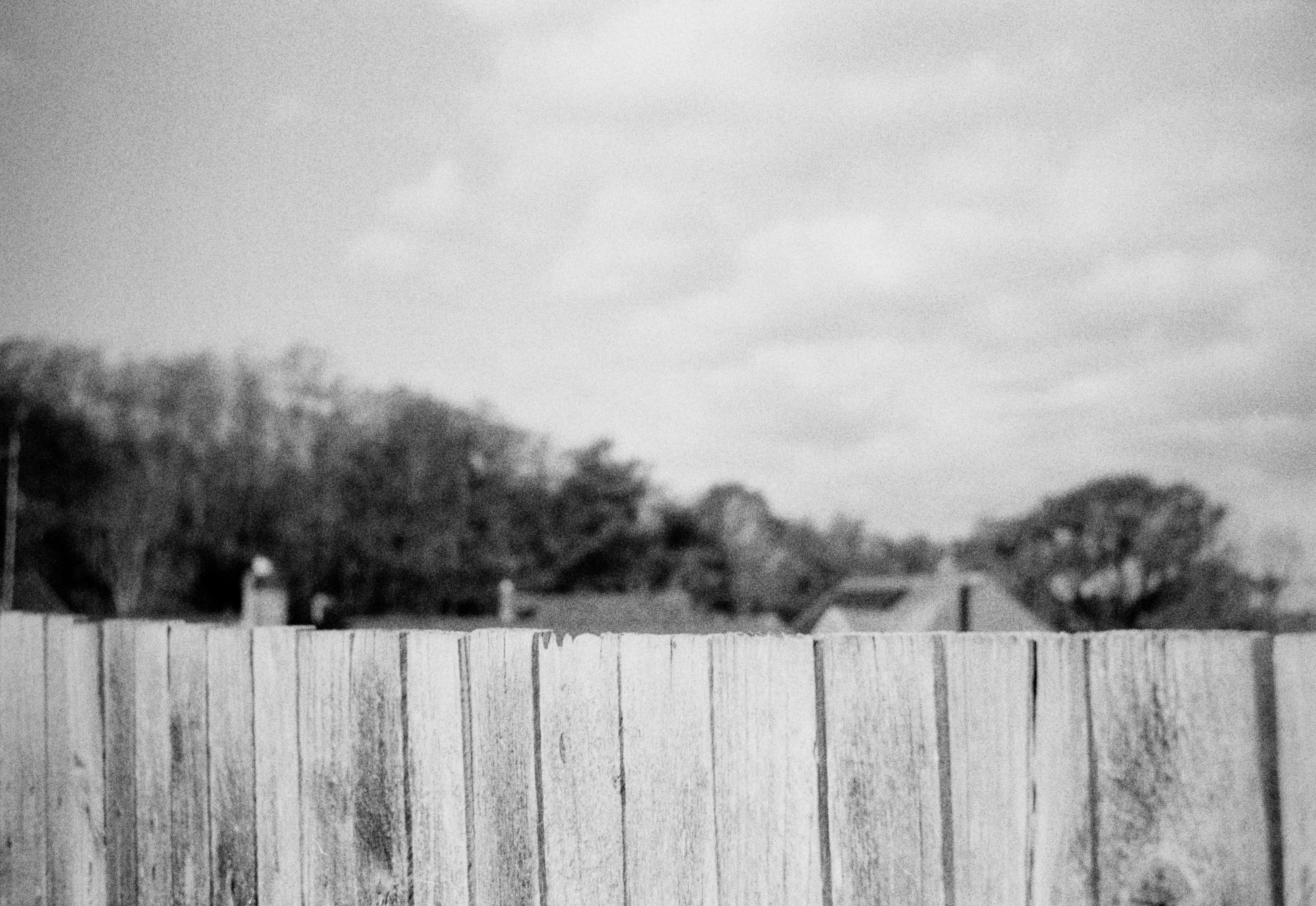 Photo by anniespratt