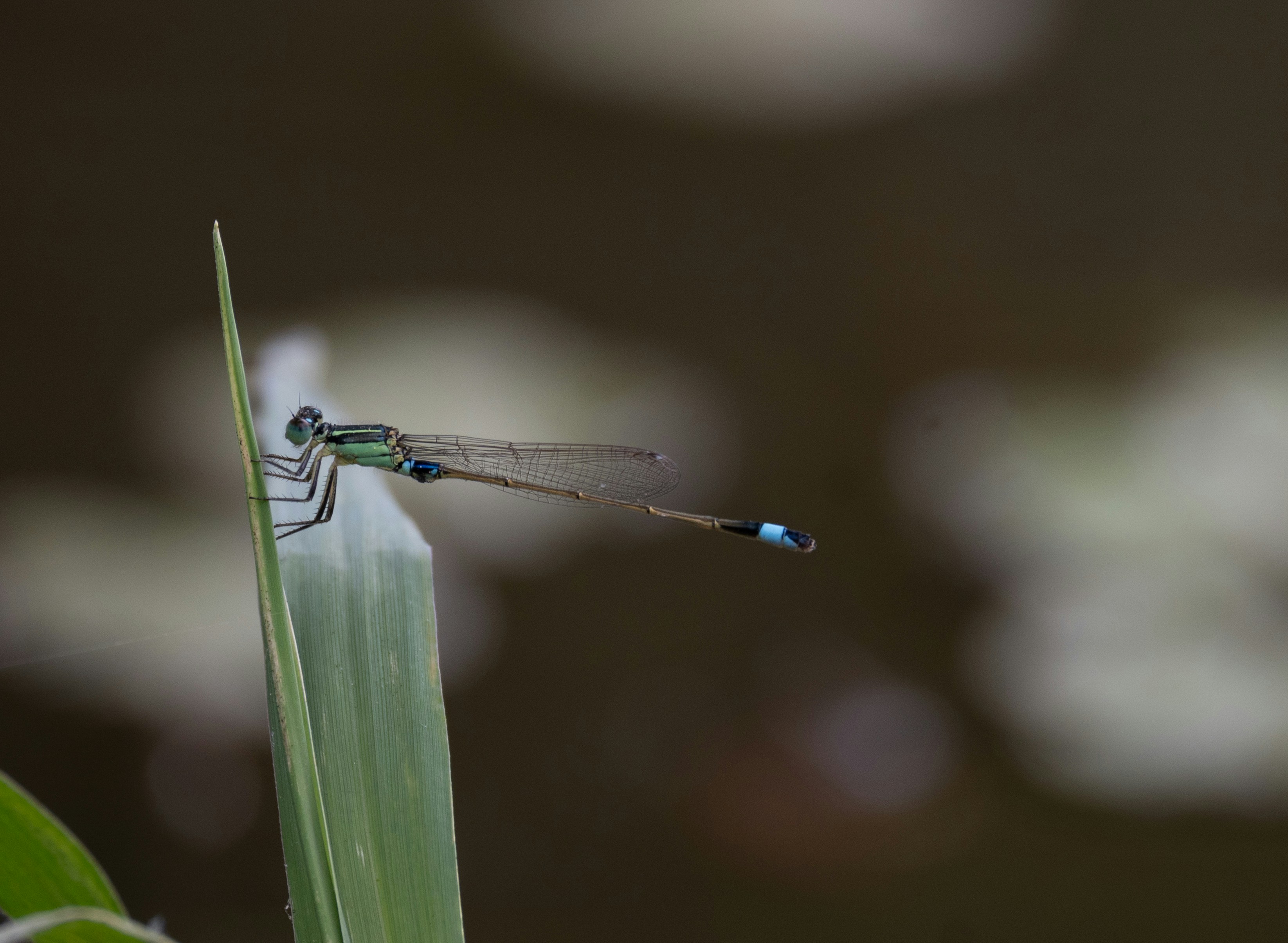 Photo by throughmylens801