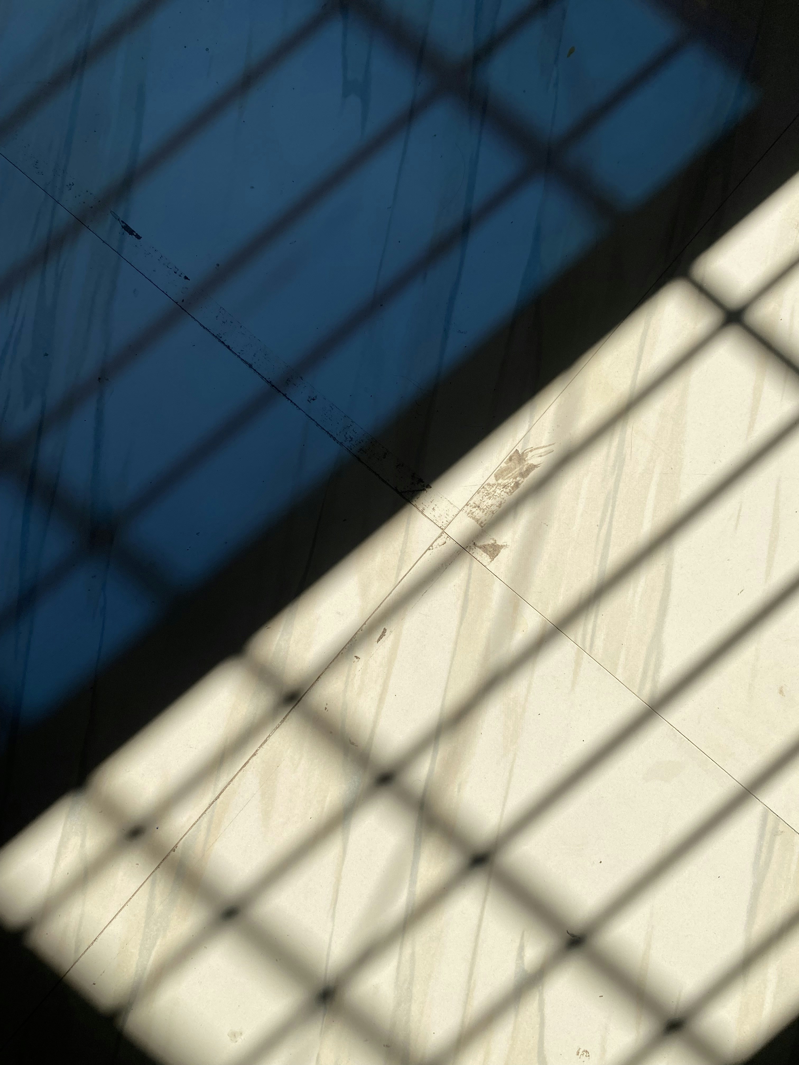 Photo by pushparaj_albert