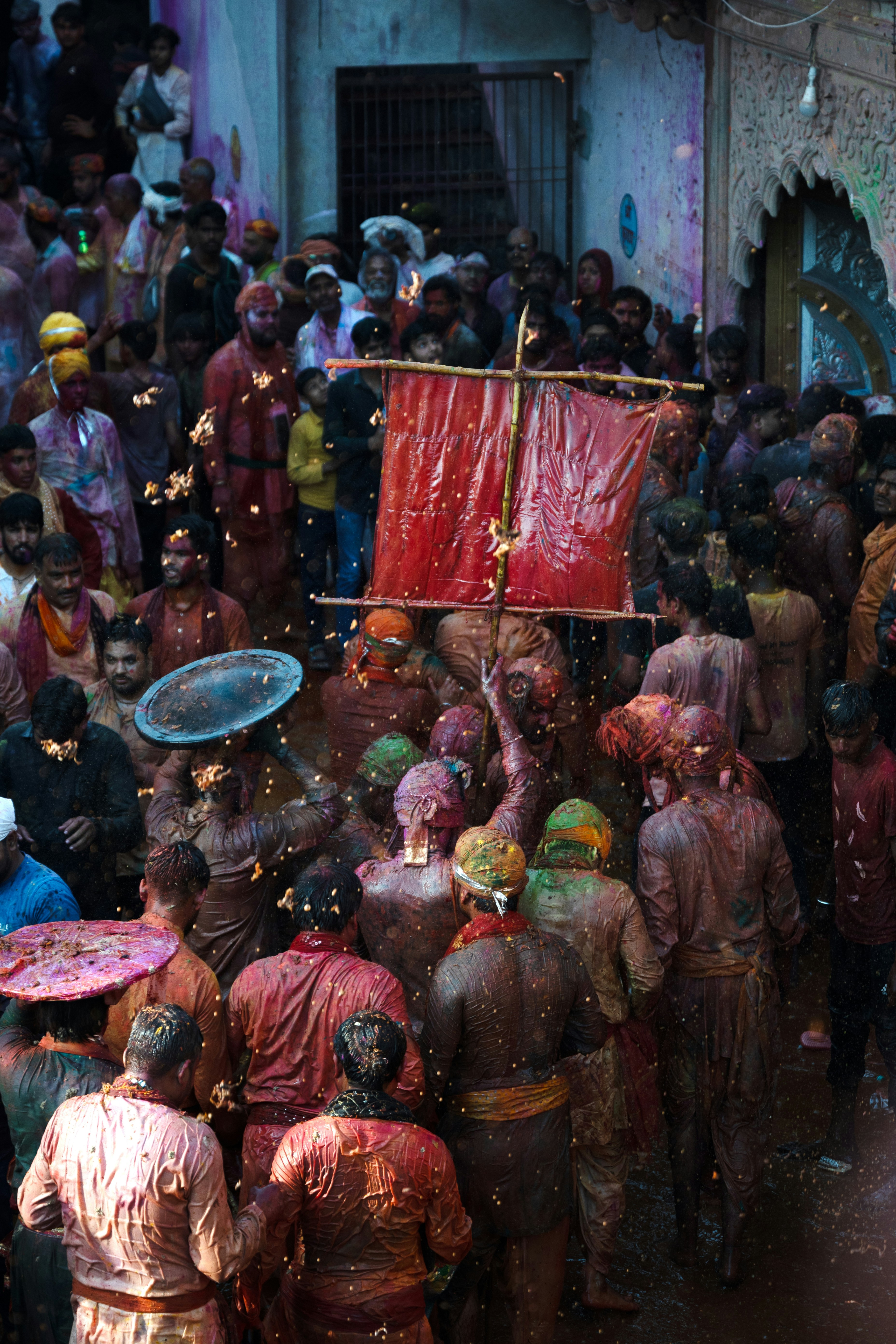 Photo by throughmylens801