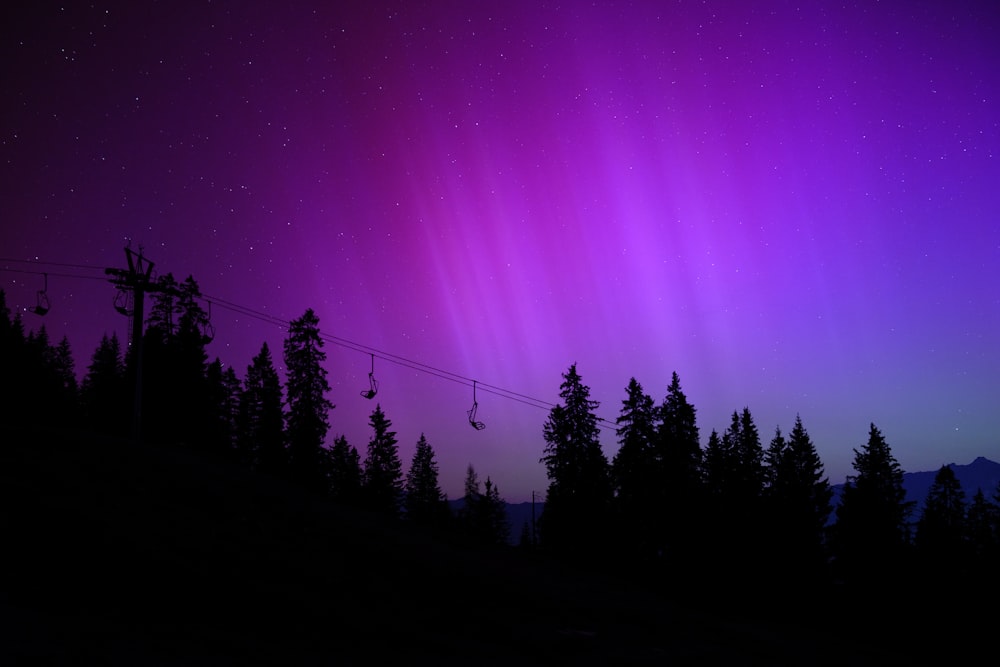 a purple and purple sky with trees in the foreground