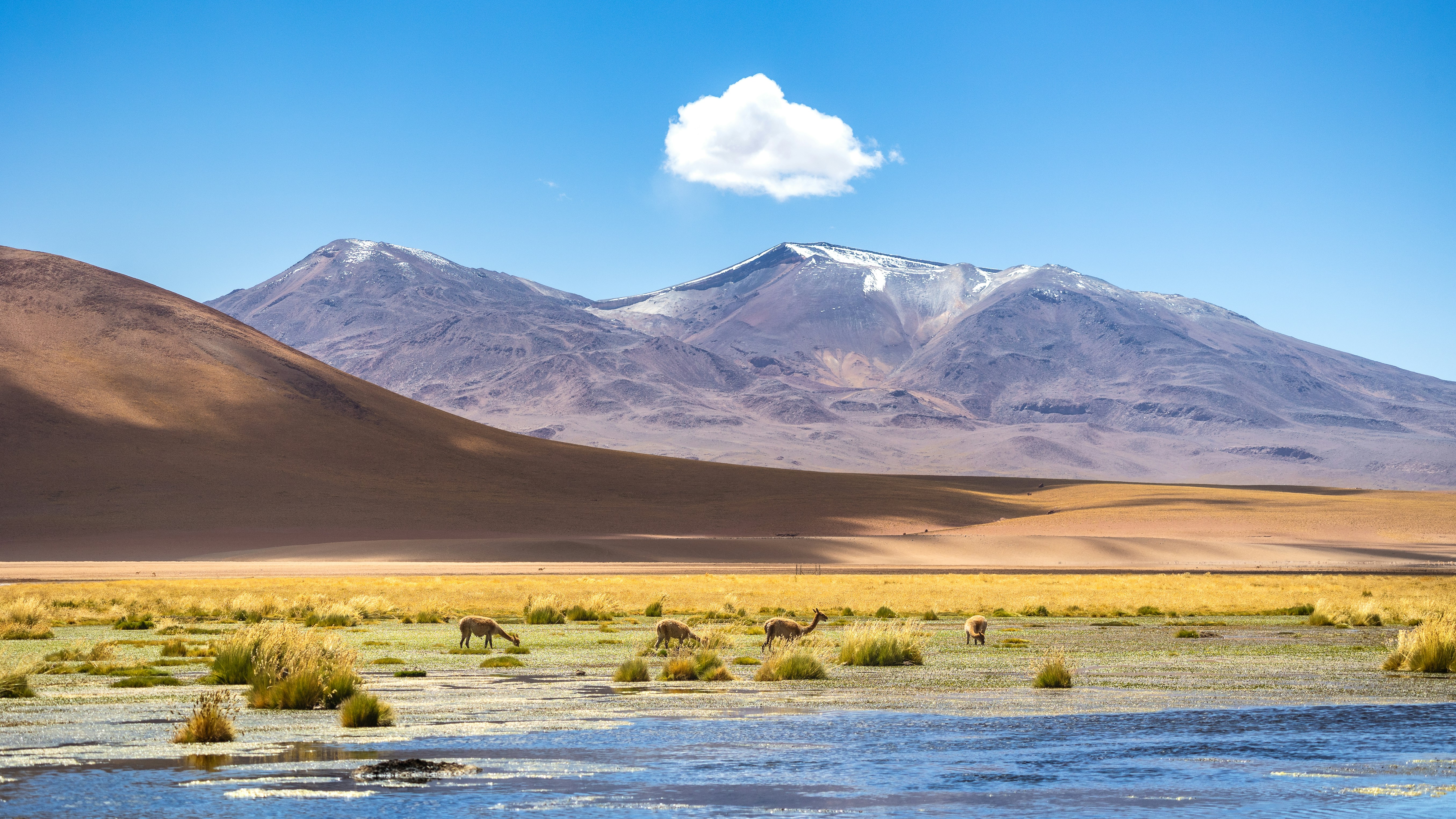 Photo by marekpiwnicki