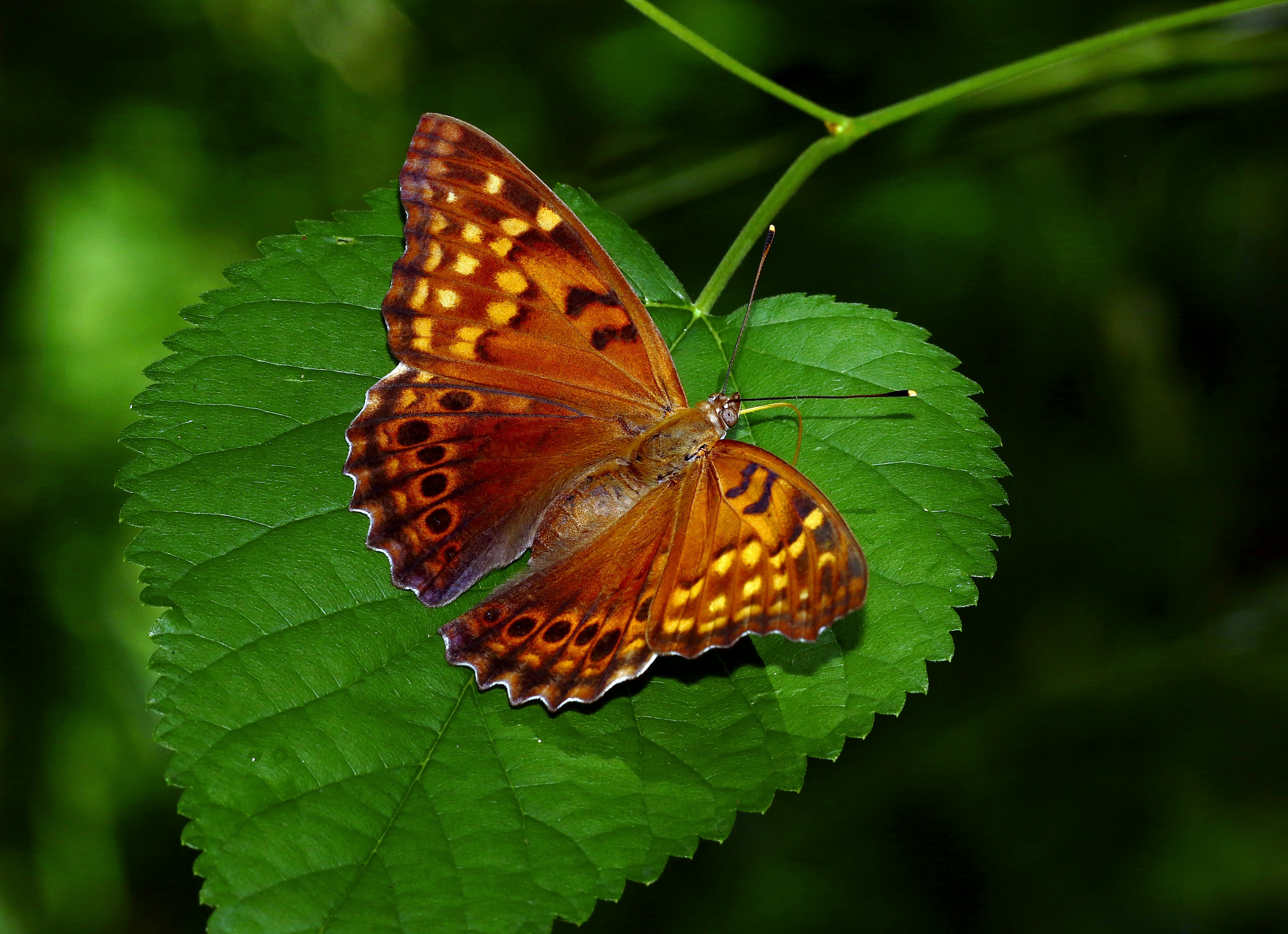 Photo by telliottmbamsc