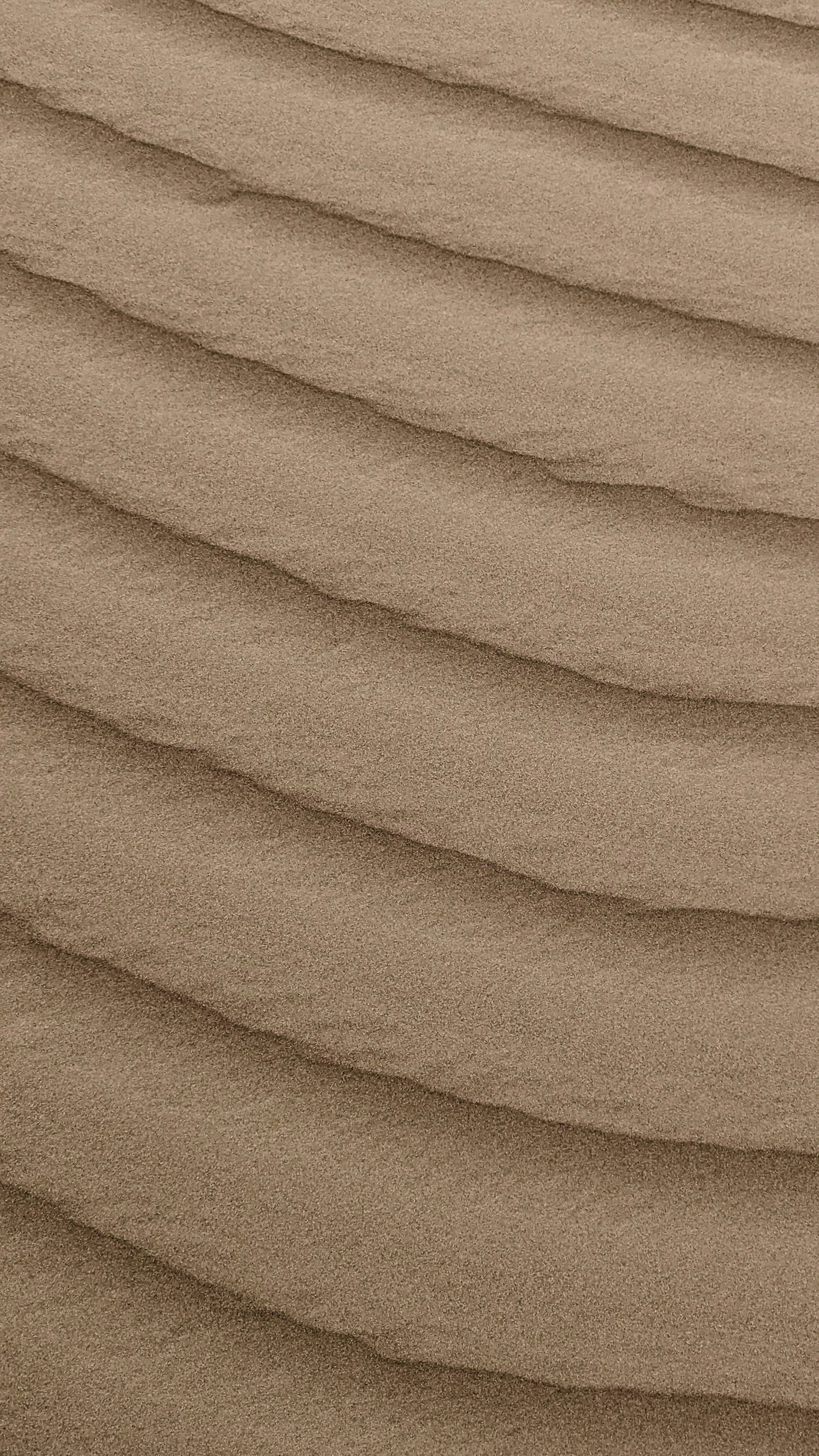 Photo by sahil_ibn_sarafudeen