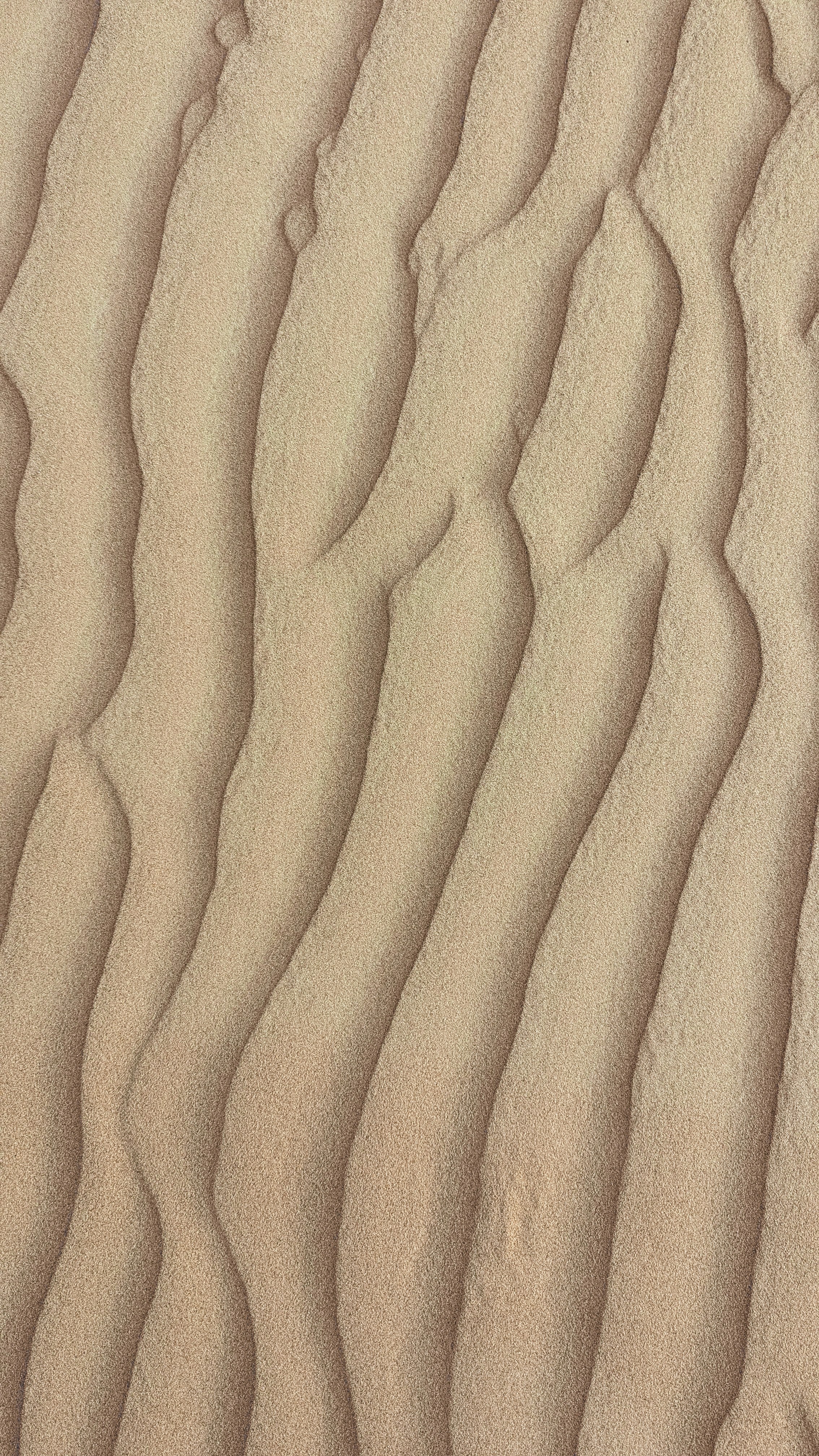 Photo by sahil_ibn_sarafudeen