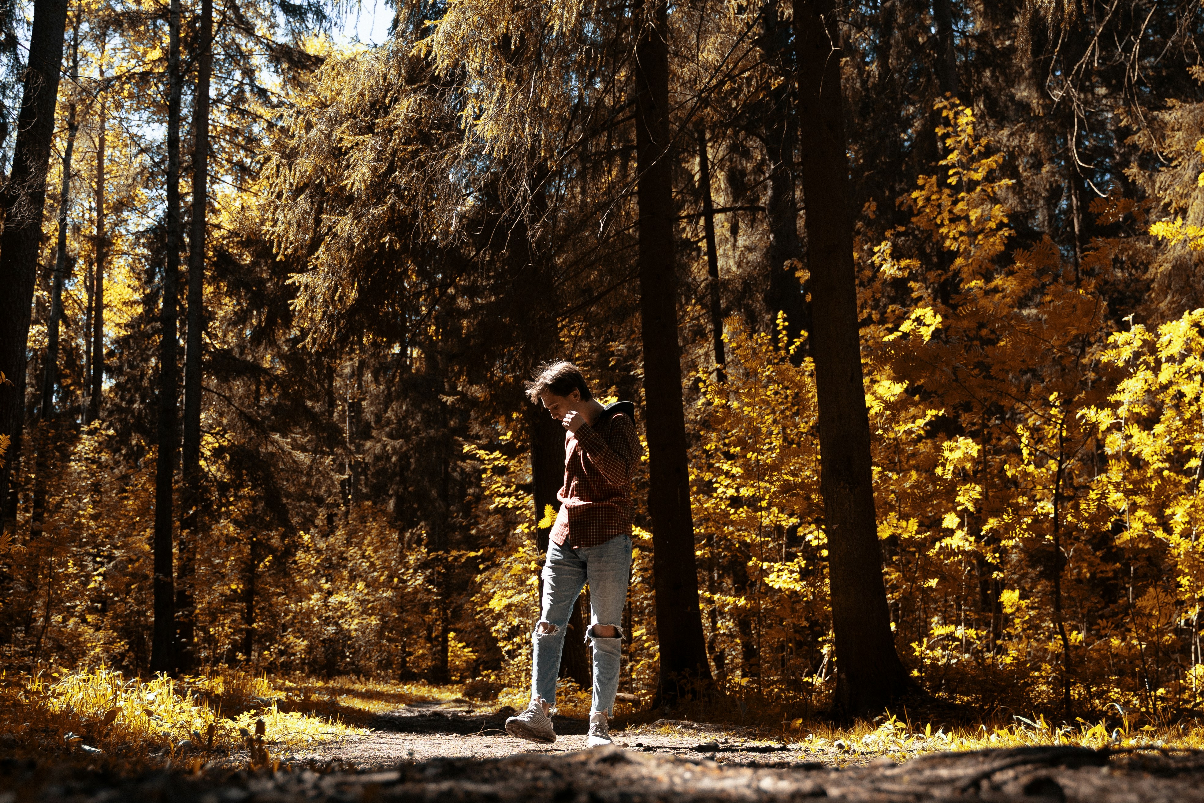 a person standing in the middle of a forest