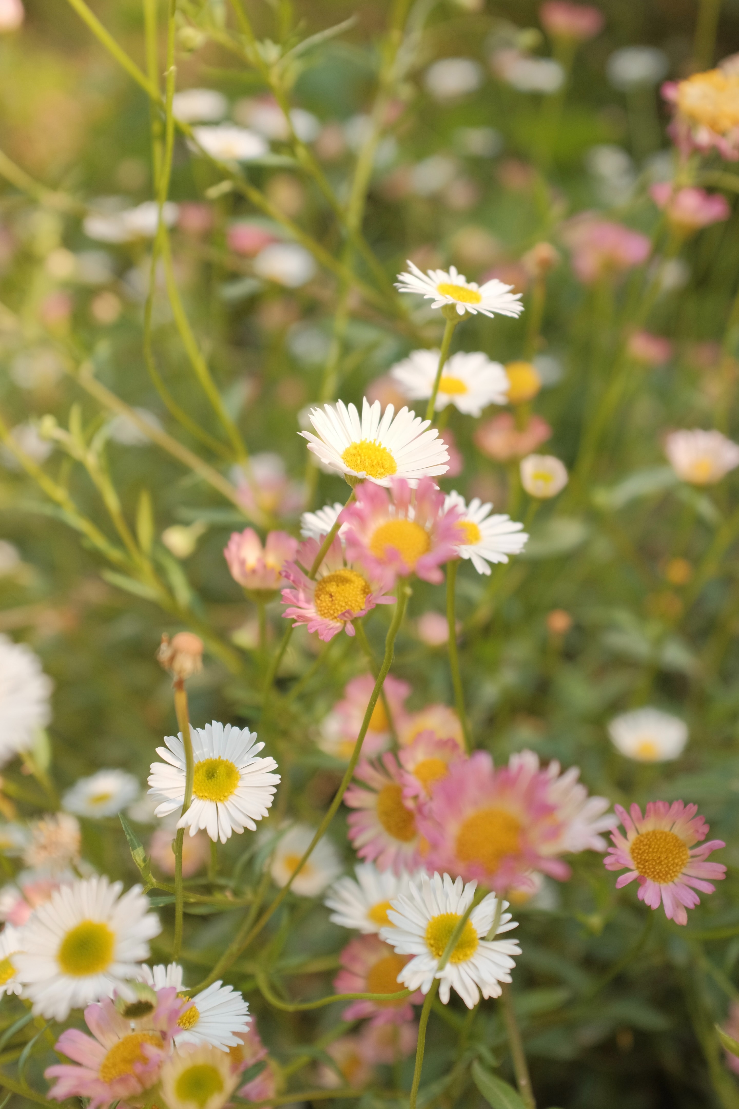 Photo by theurbanarab