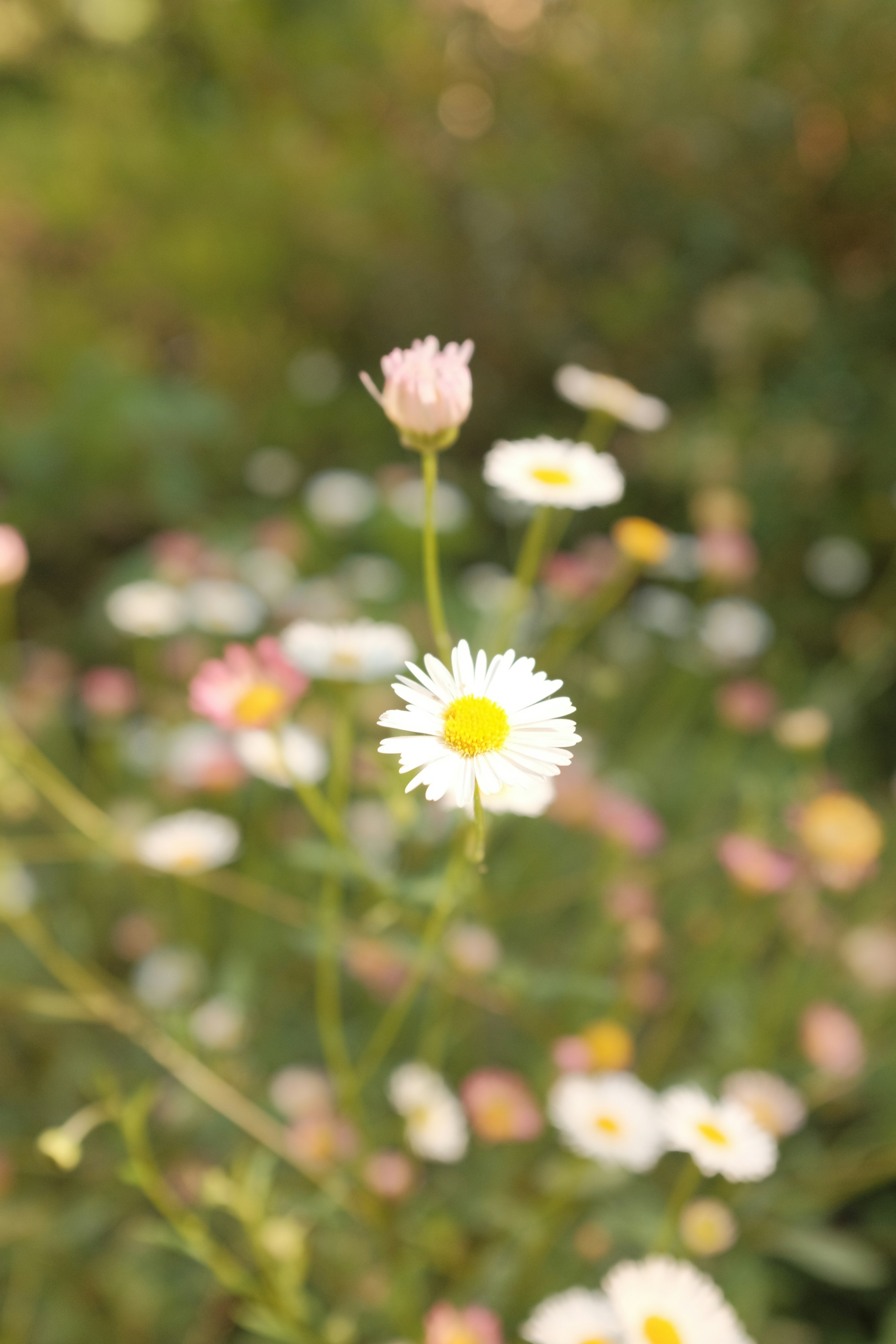 Photo by theurbanarab